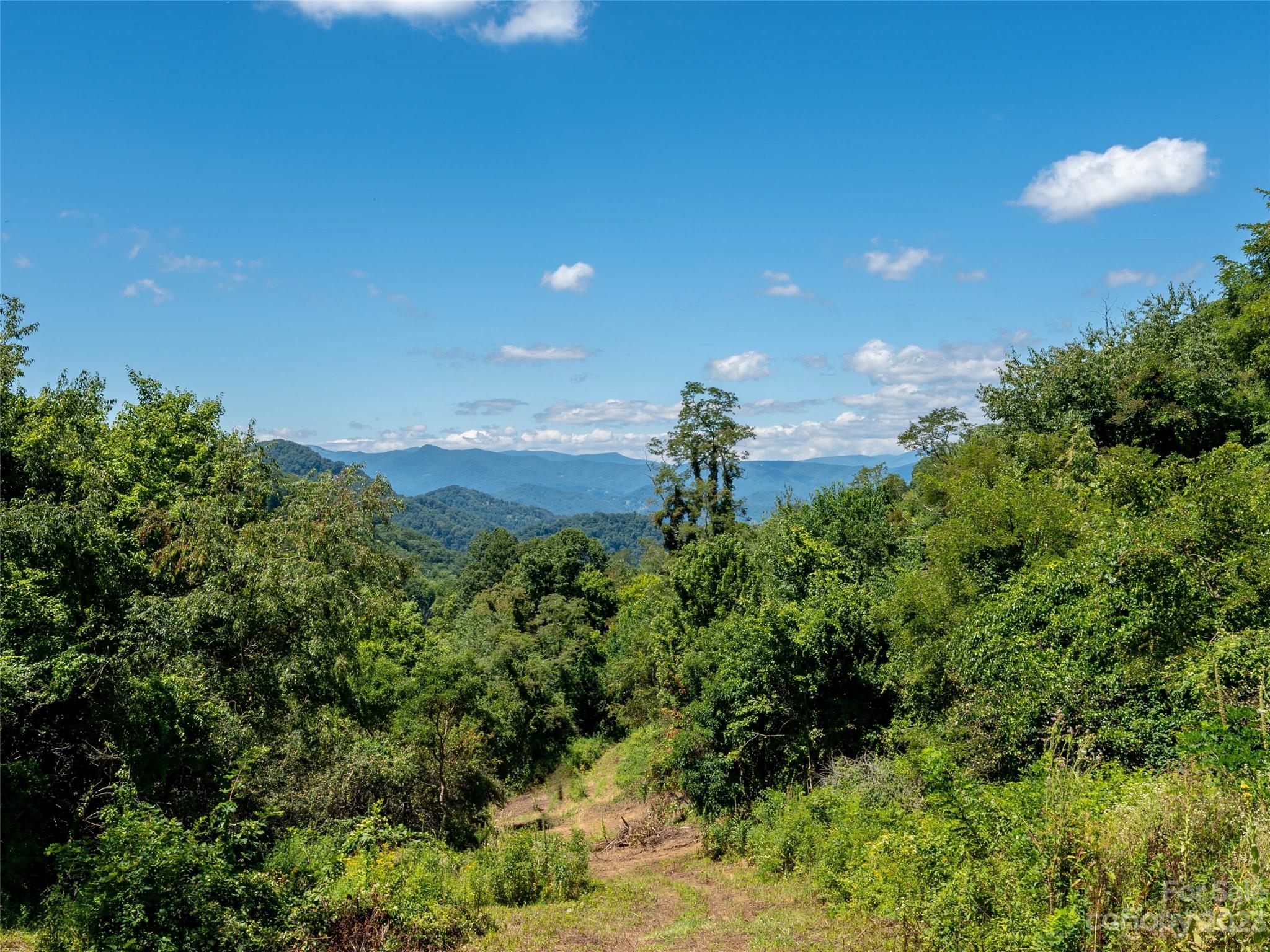 00 Crabtree Mountain Road Property Photo 5