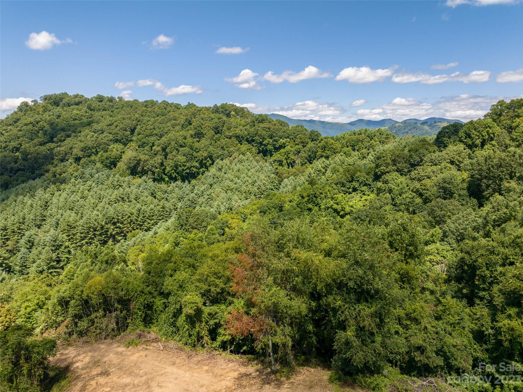 00 Crabtree Mountain Road Property Photo 11