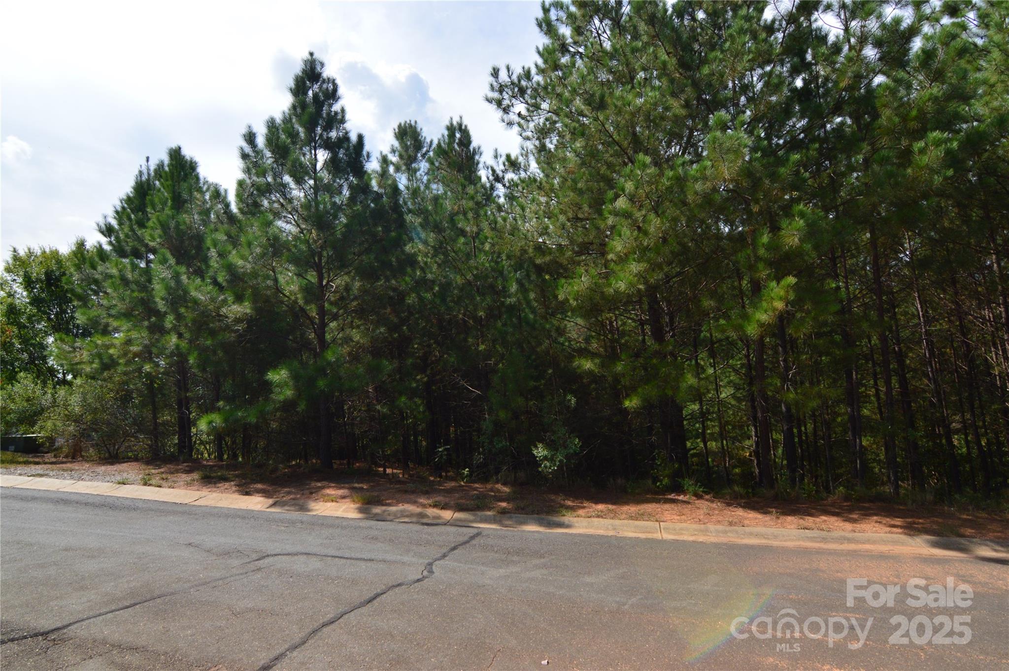 4208 Arbors Ford Court 72 Property Photo 11