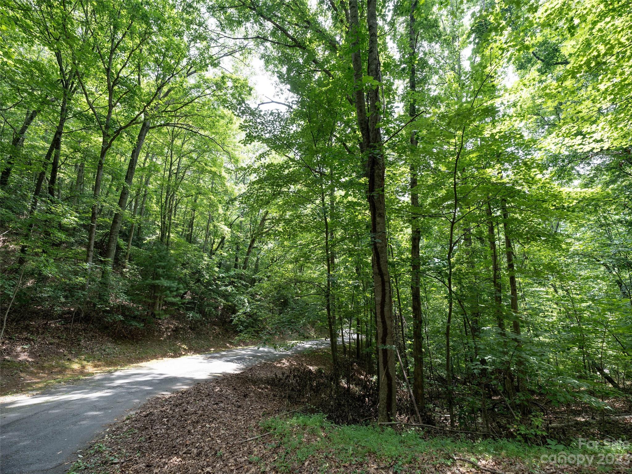 00 Grouse Ridge Road 1 Property Photo 2