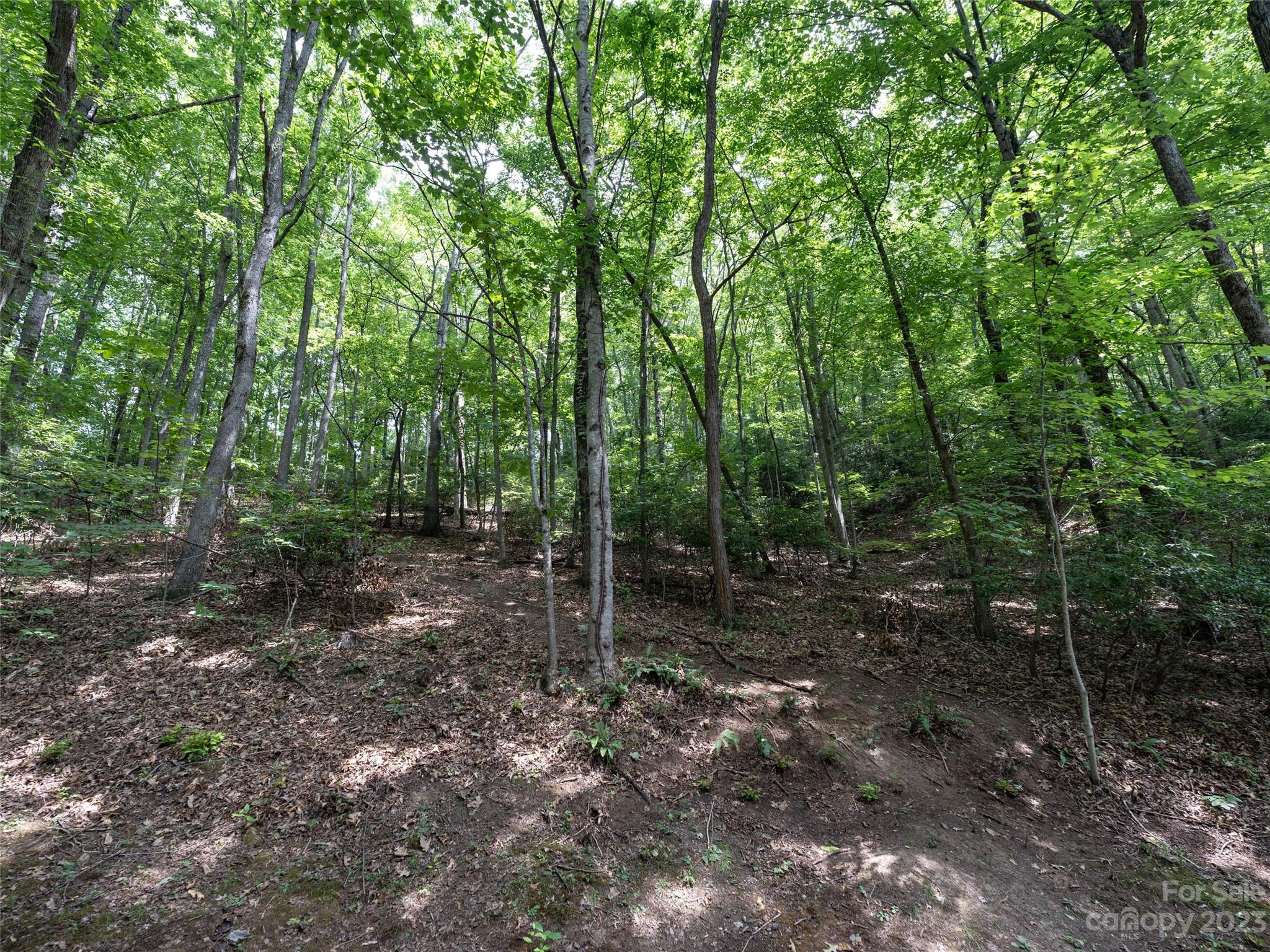 00 Grouse Ridge Road 1 Property Photo 3