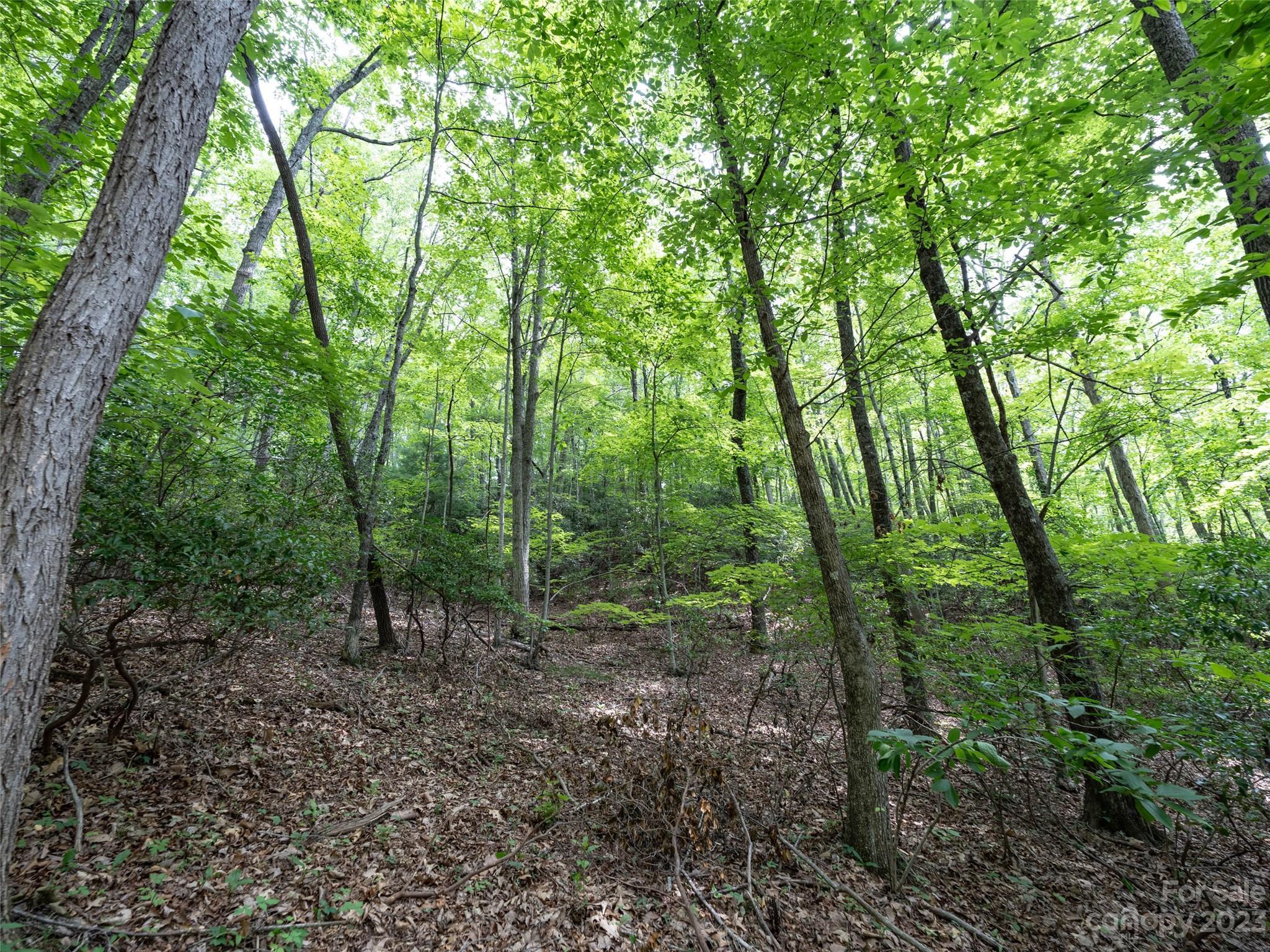 00 Grouse Ridge Road 1 Property Photo 4