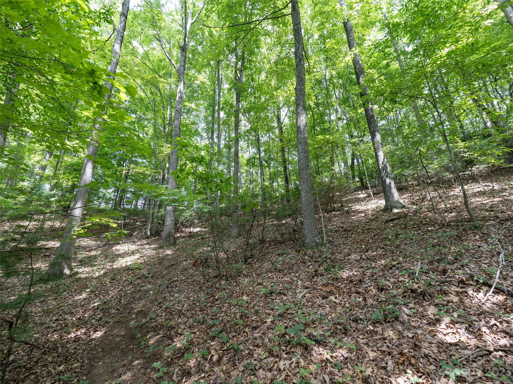 00 Grouse Ridge Road 1 Property Photo 5