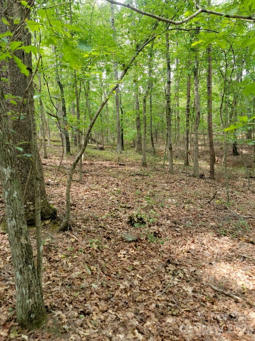 1800 Nc 120 Highway Property Photo 7