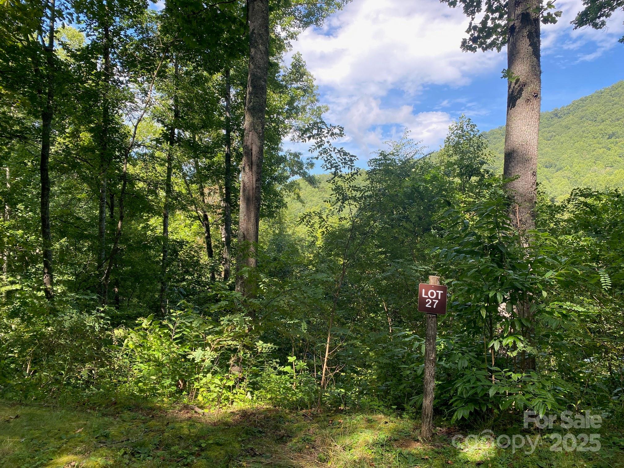0 Grouse Haven Lane 27 Property Photo 1
