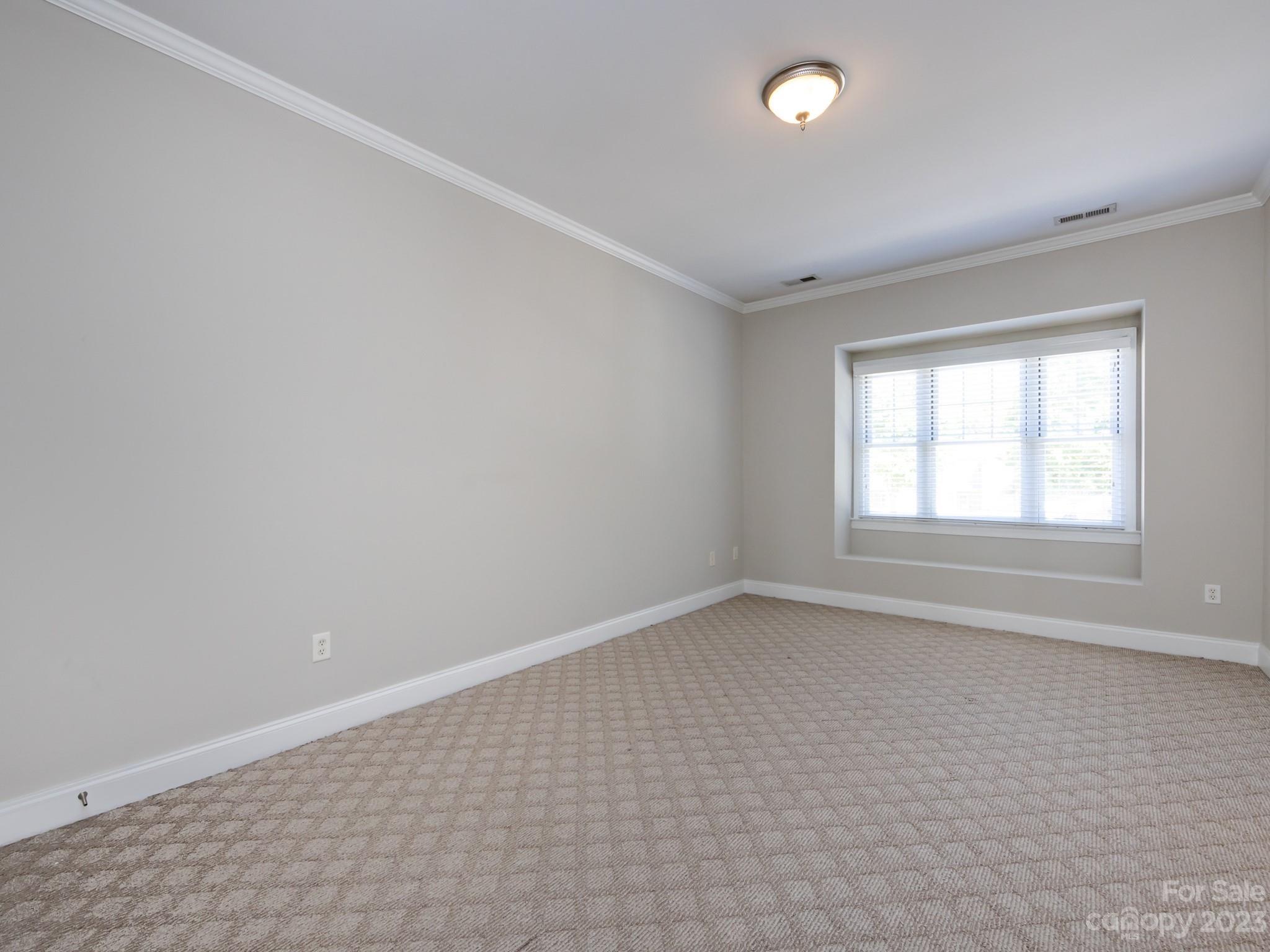 4670 Dabney Vigor Drive Property Photo 27