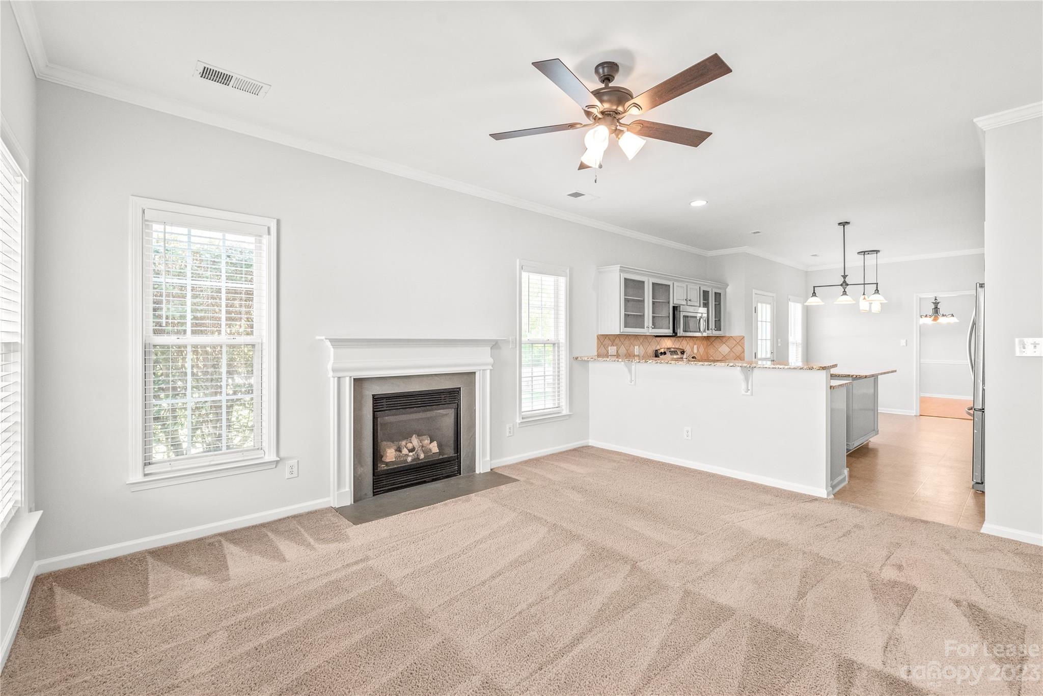 11714 Borchetta Drive Property Photo 11