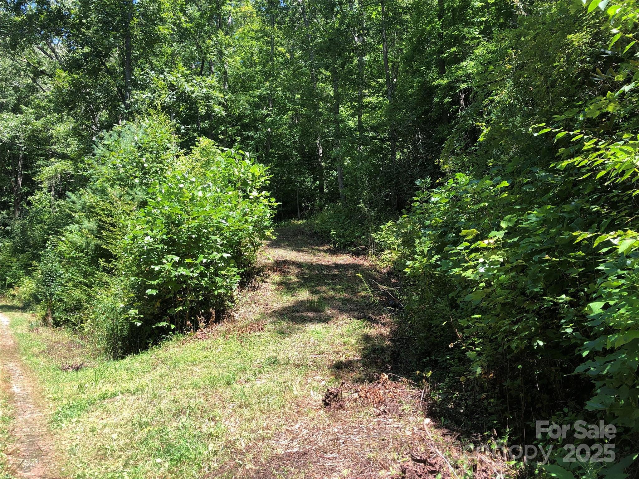 155 Erwin Lane Property Photo 6