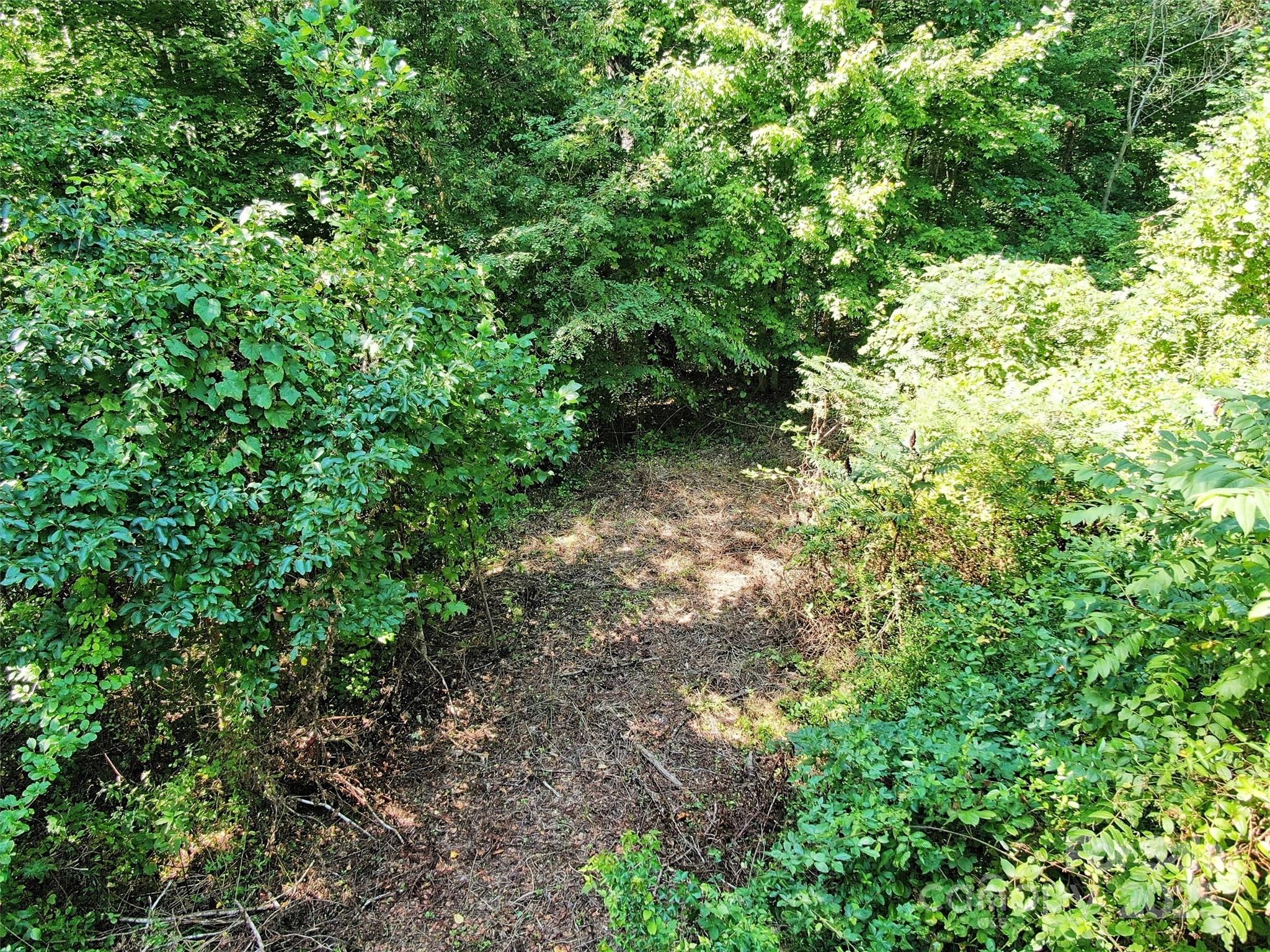 155 Erwin Lane Property Photo 7