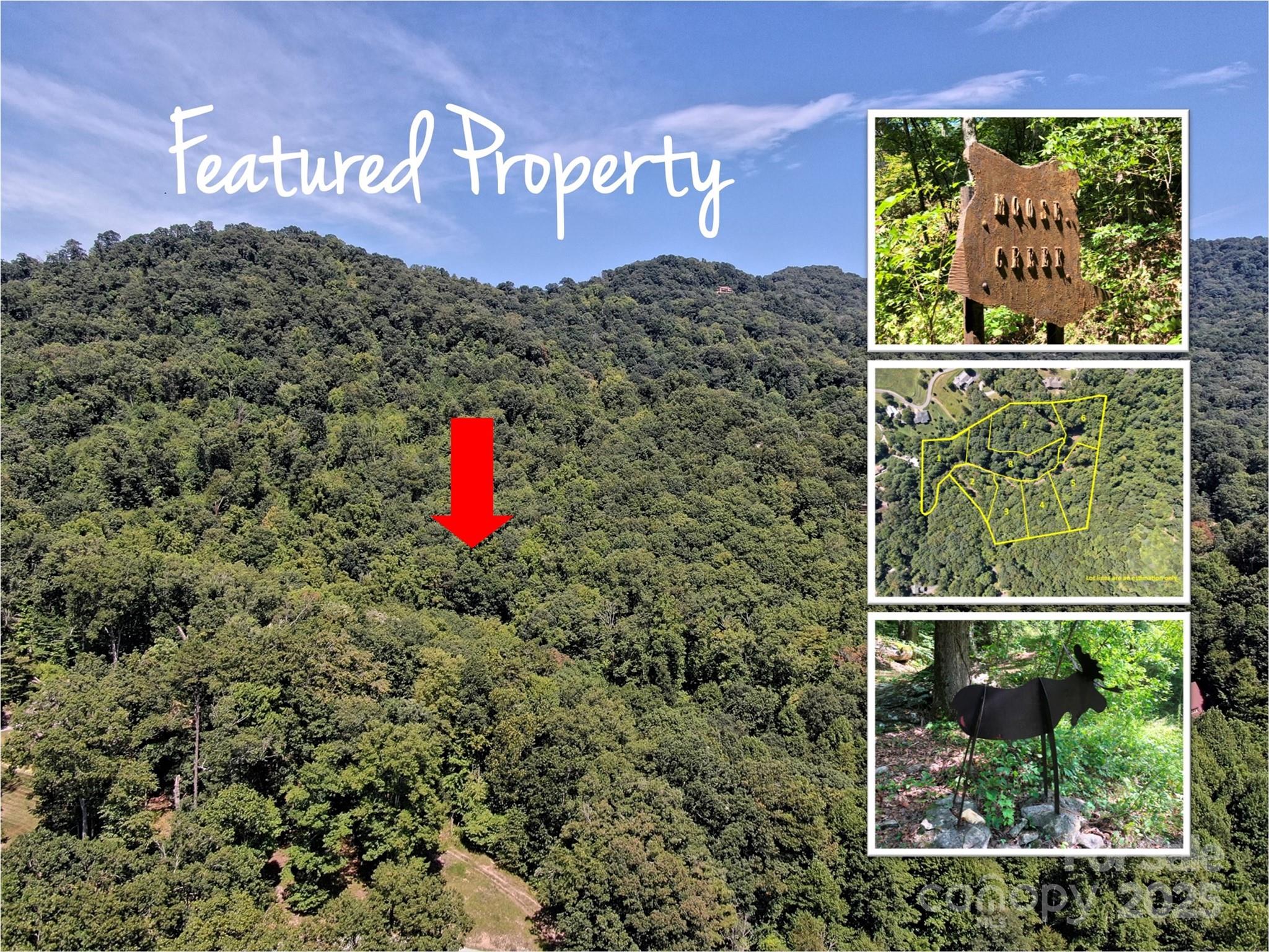 166 Erwin Lane Property Photo 1