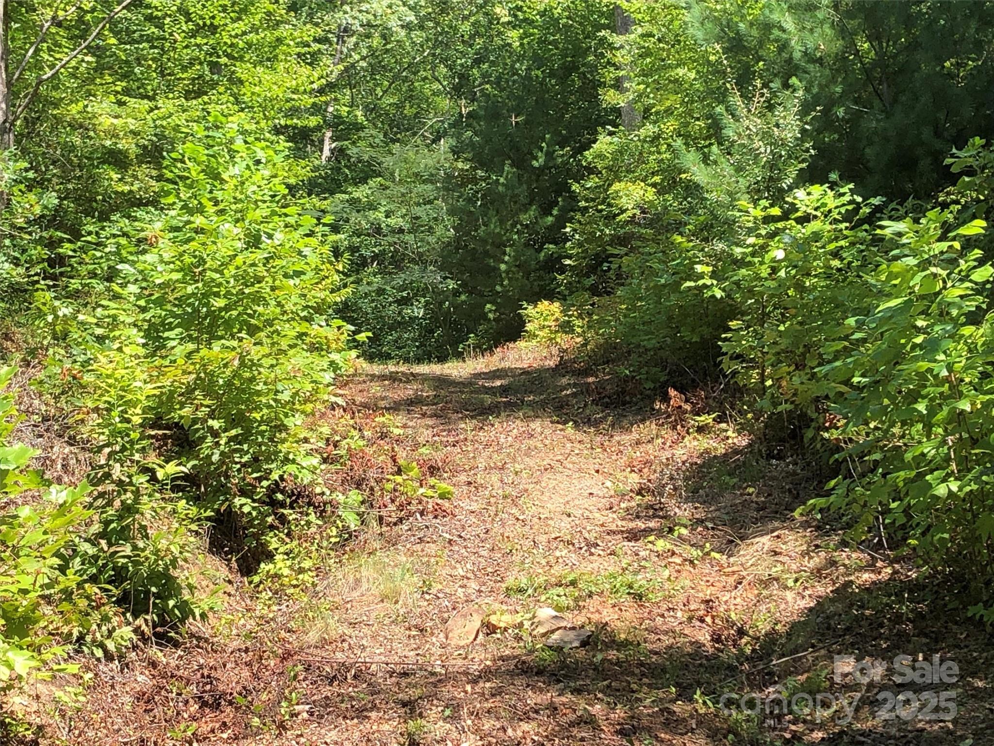 166 Erwin Lane Property Photo 6