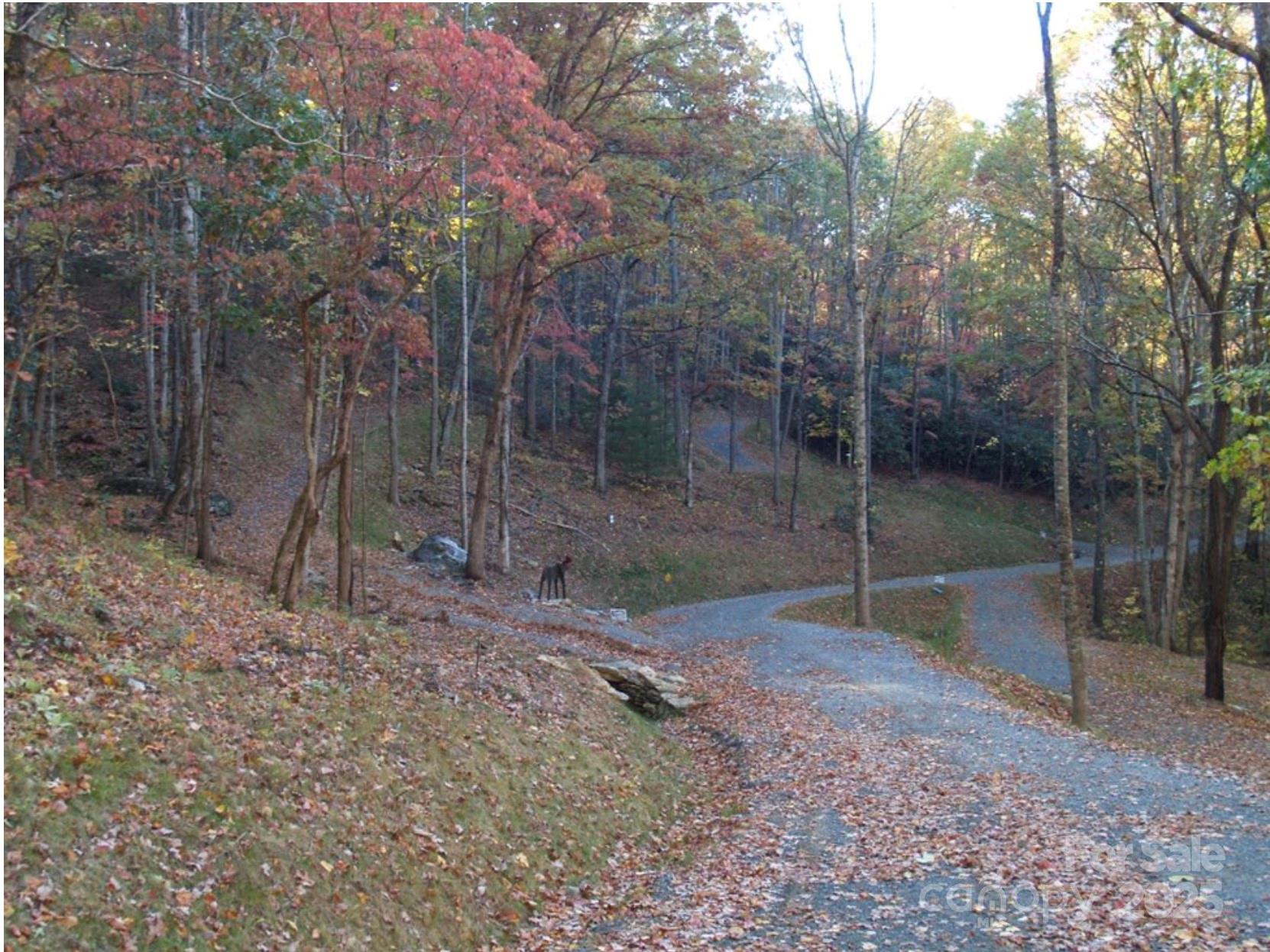 166 Erwin Lane Property Photo 10