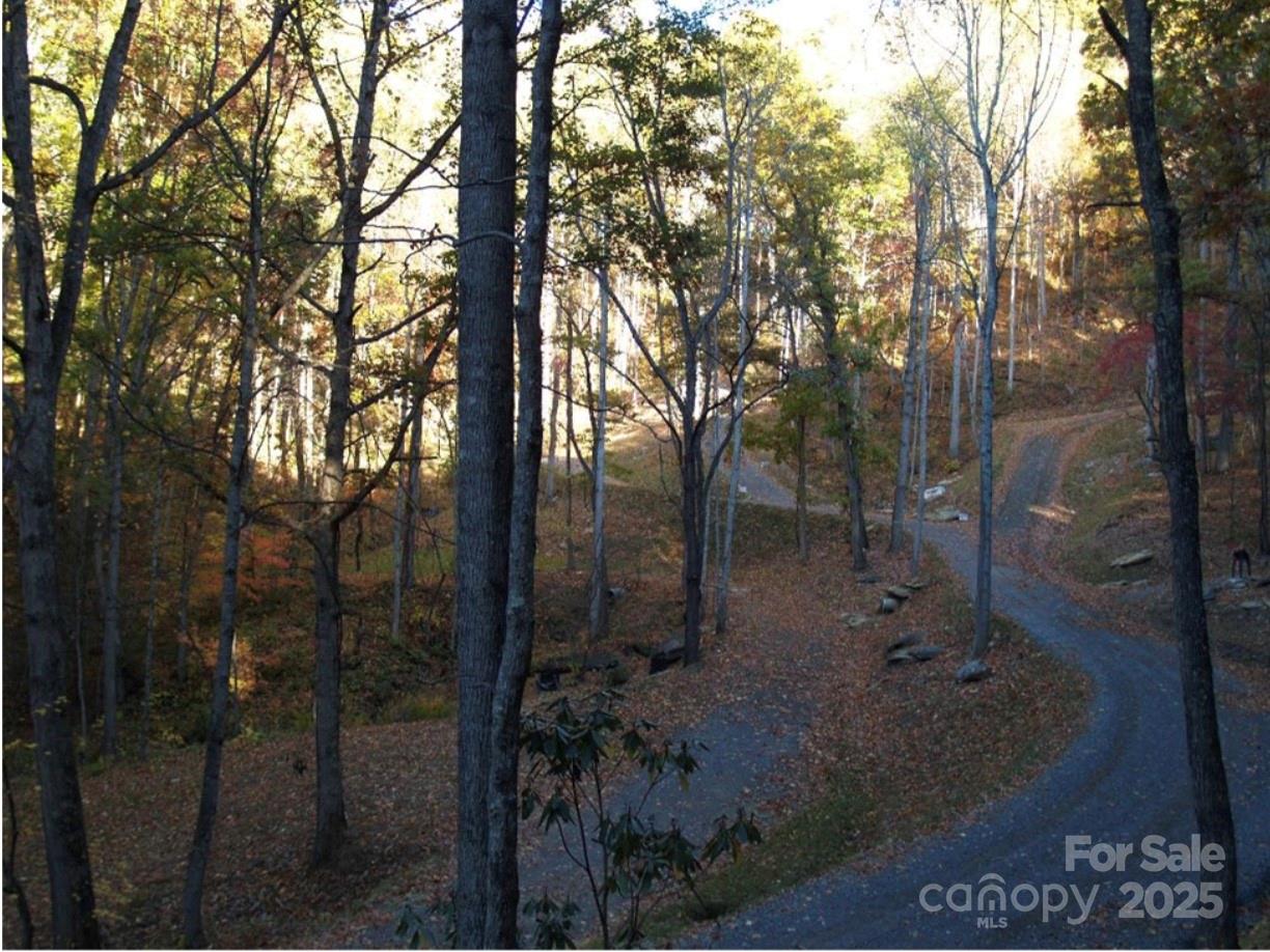 220 Erwin Lane Property Photo 13