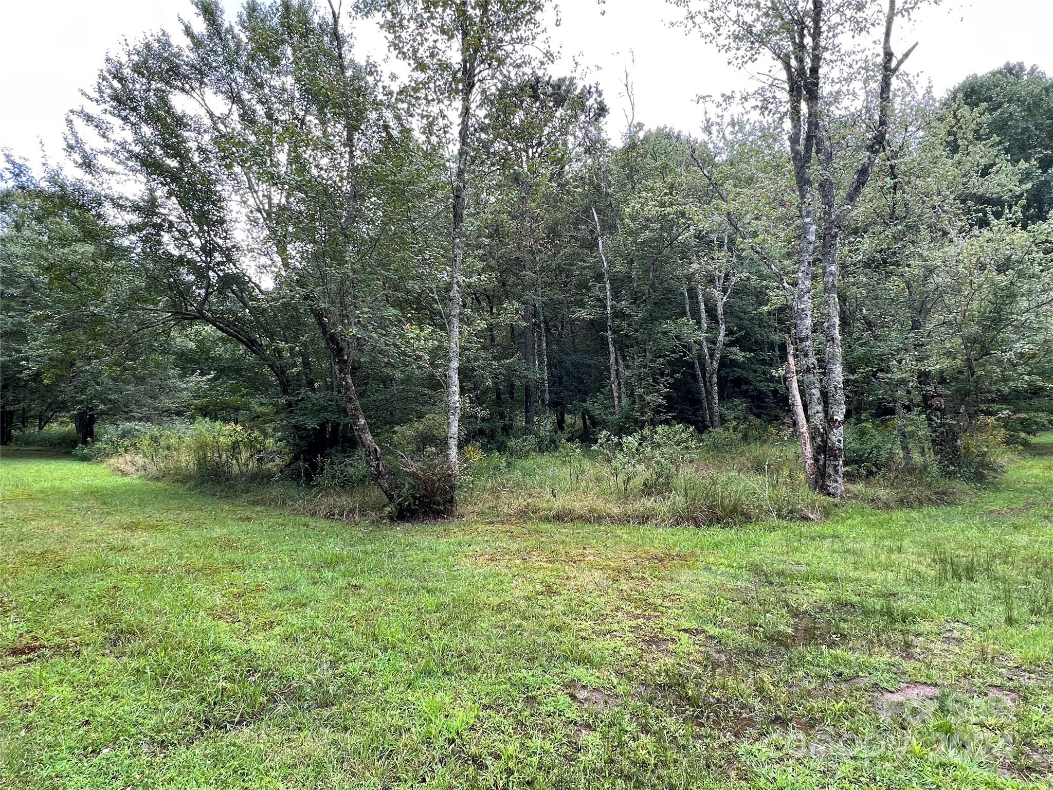 L 3 Sweetwater Ridge Road Property Photo 19