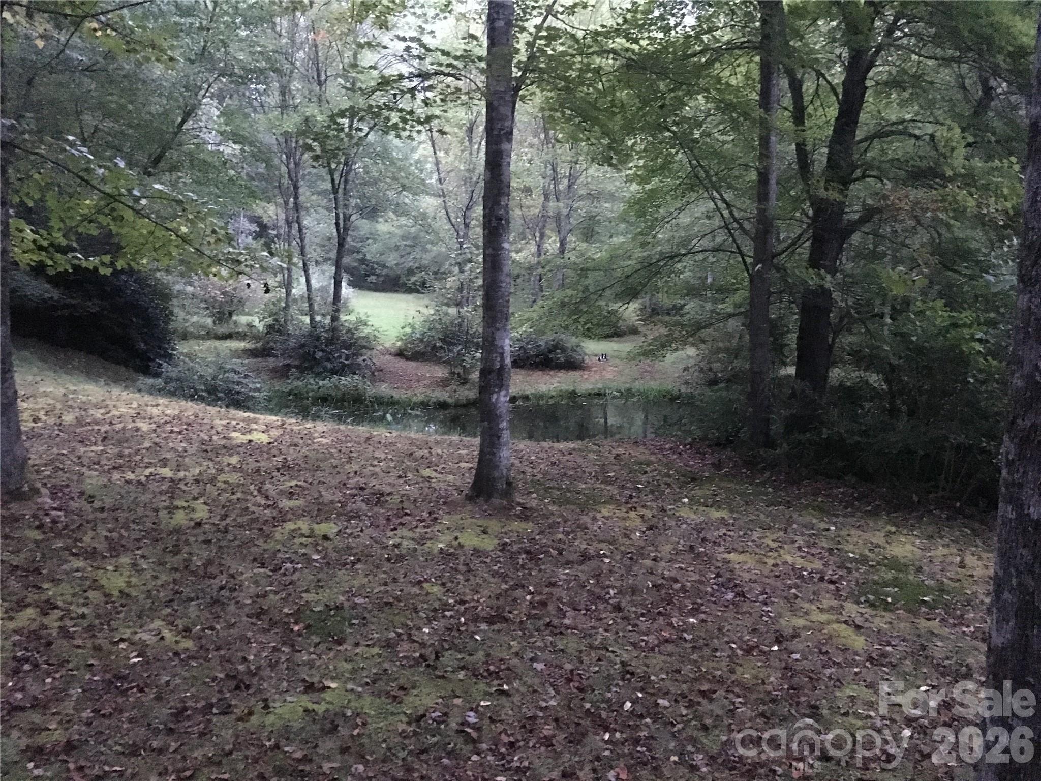 Lot 3 Sweetwater Ridge Road Property Photo 23