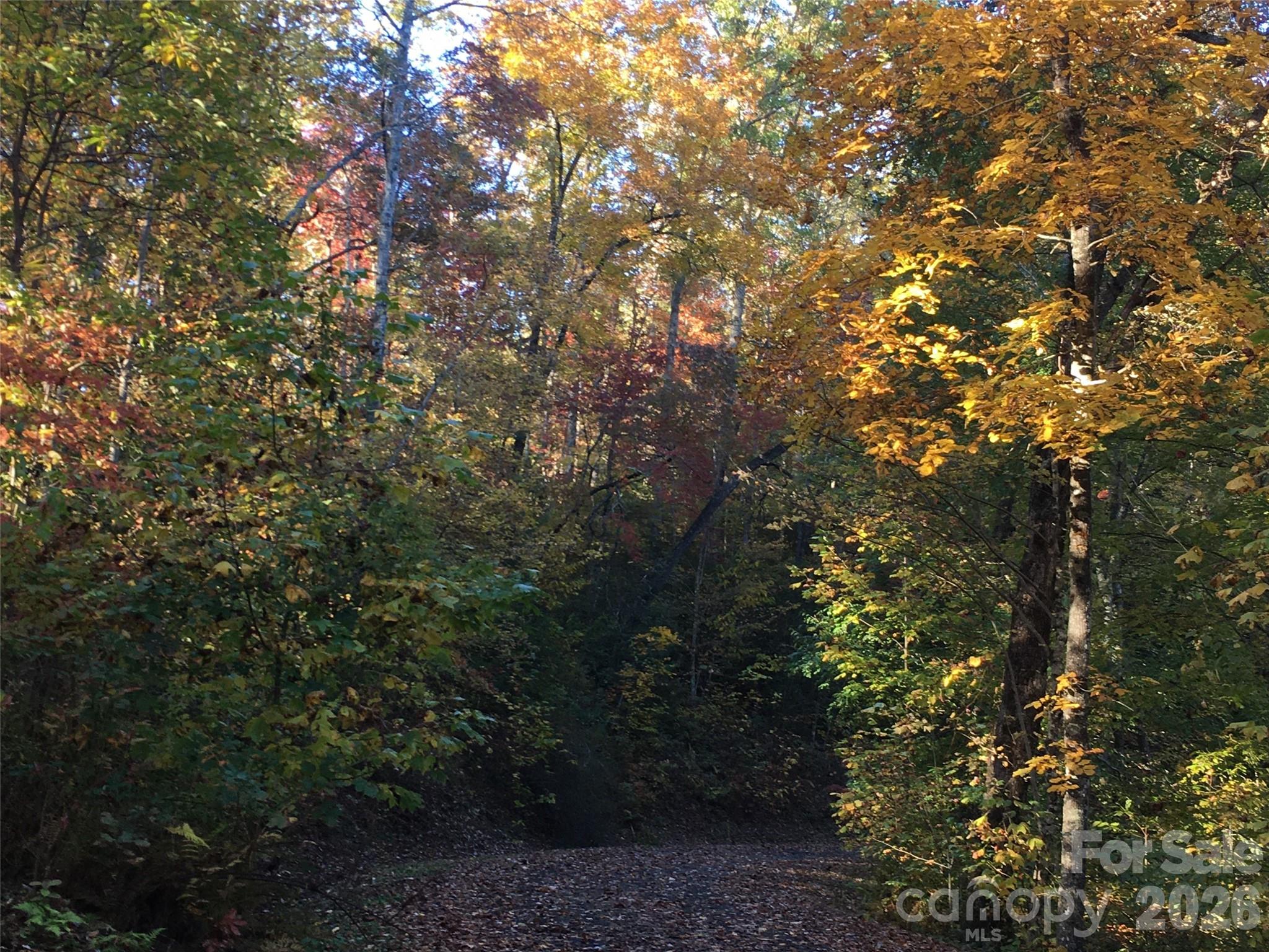 Lot 3 Sweetwater Ridge Road Property Photo 30