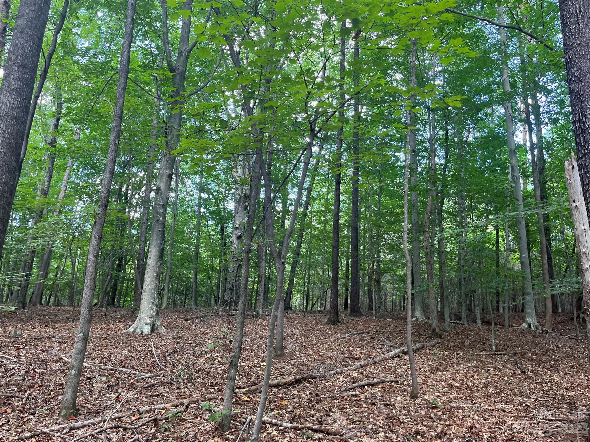 0 Fox Mountain Road 9 Property Photo 2