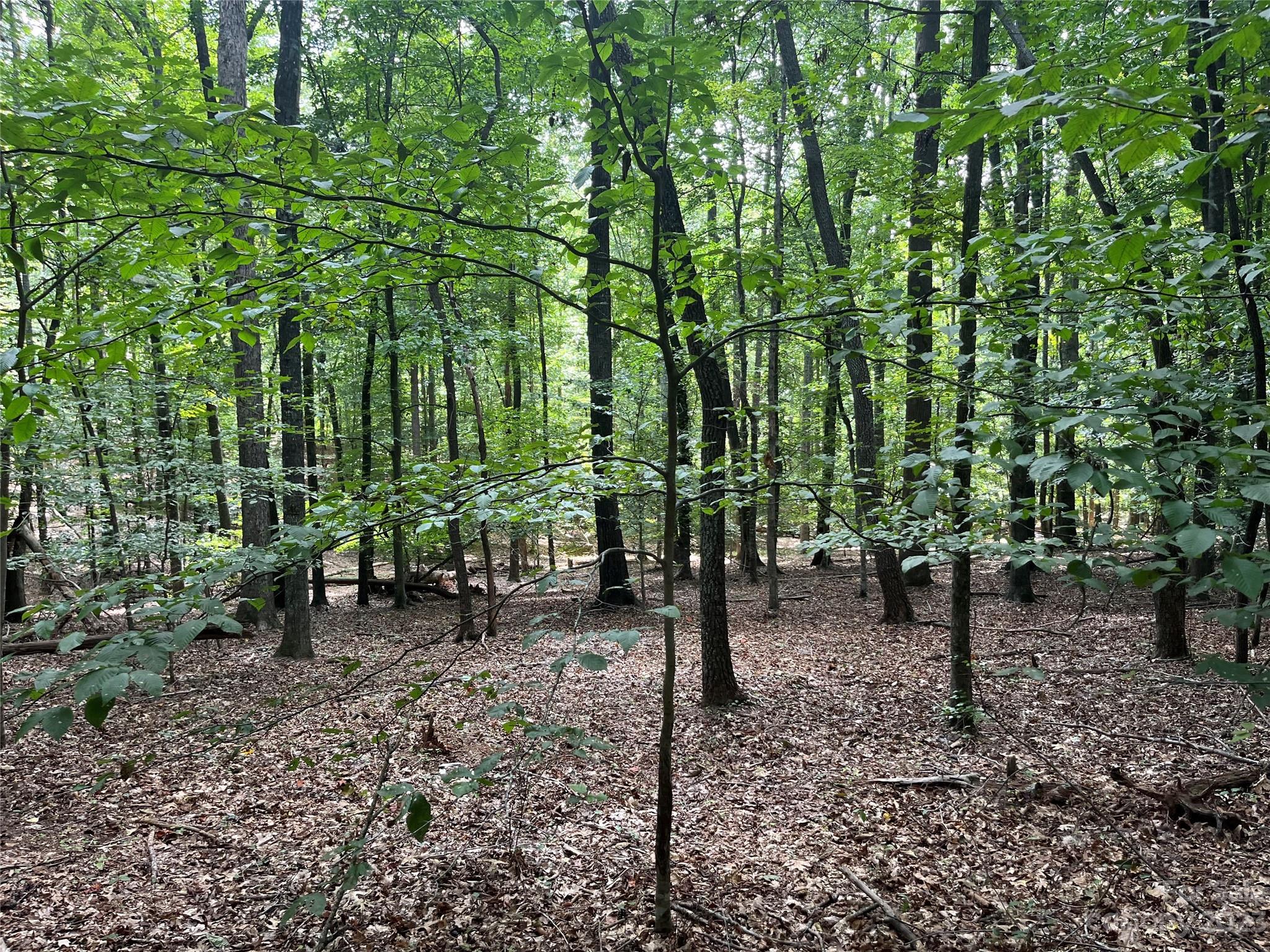 0 Fox Mountain Road 9 Property Photo 4