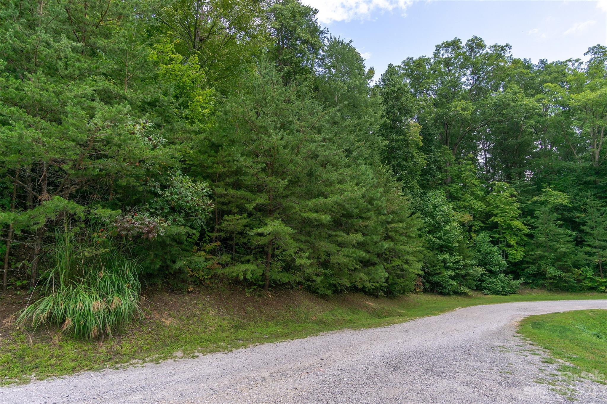 99999 Spring Lake Trail 5 & 7 Property Photo 2