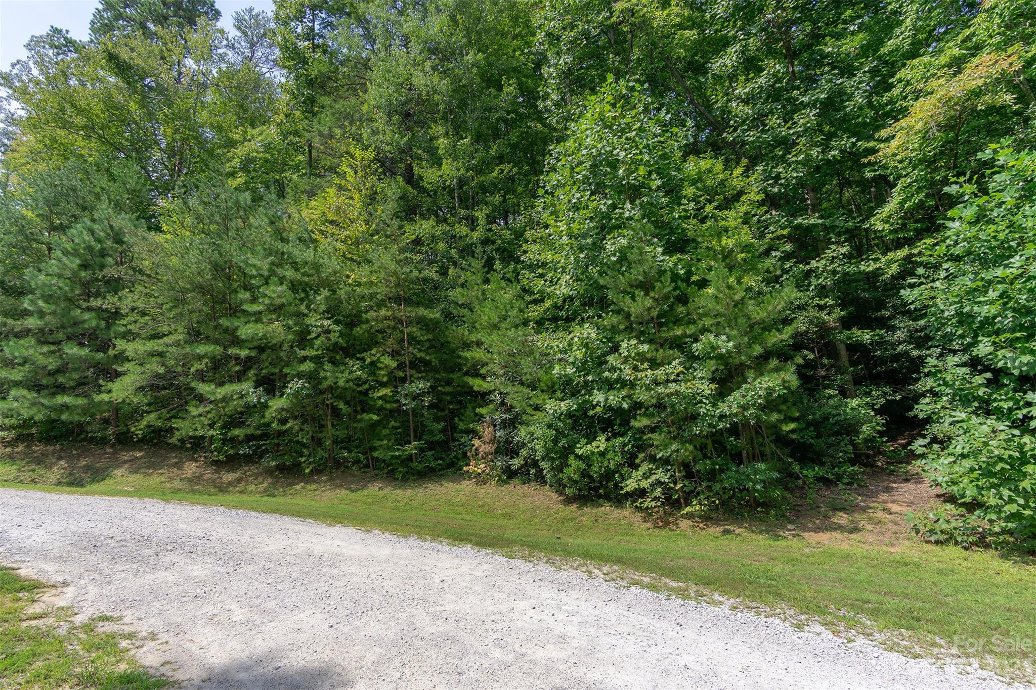 99999 Spring Lake Trail 5 & 7 Property Photo 5