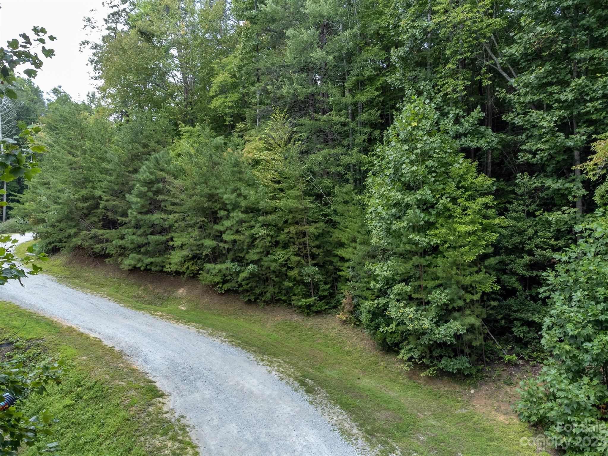 99999 Spring Lake Trail 5 & 7 Property Photo 6