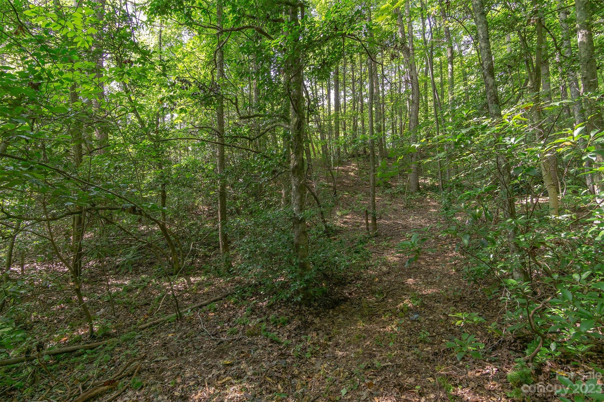 99999 Spring Lake Trail 5 & 7 Property Photo 8