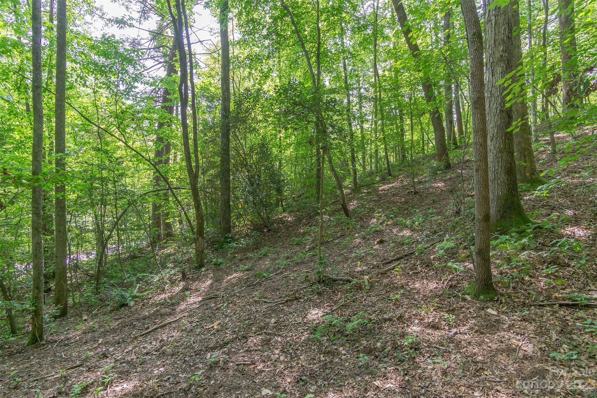99999 Spring Lake Trail 5 & 7 Property Photo 10