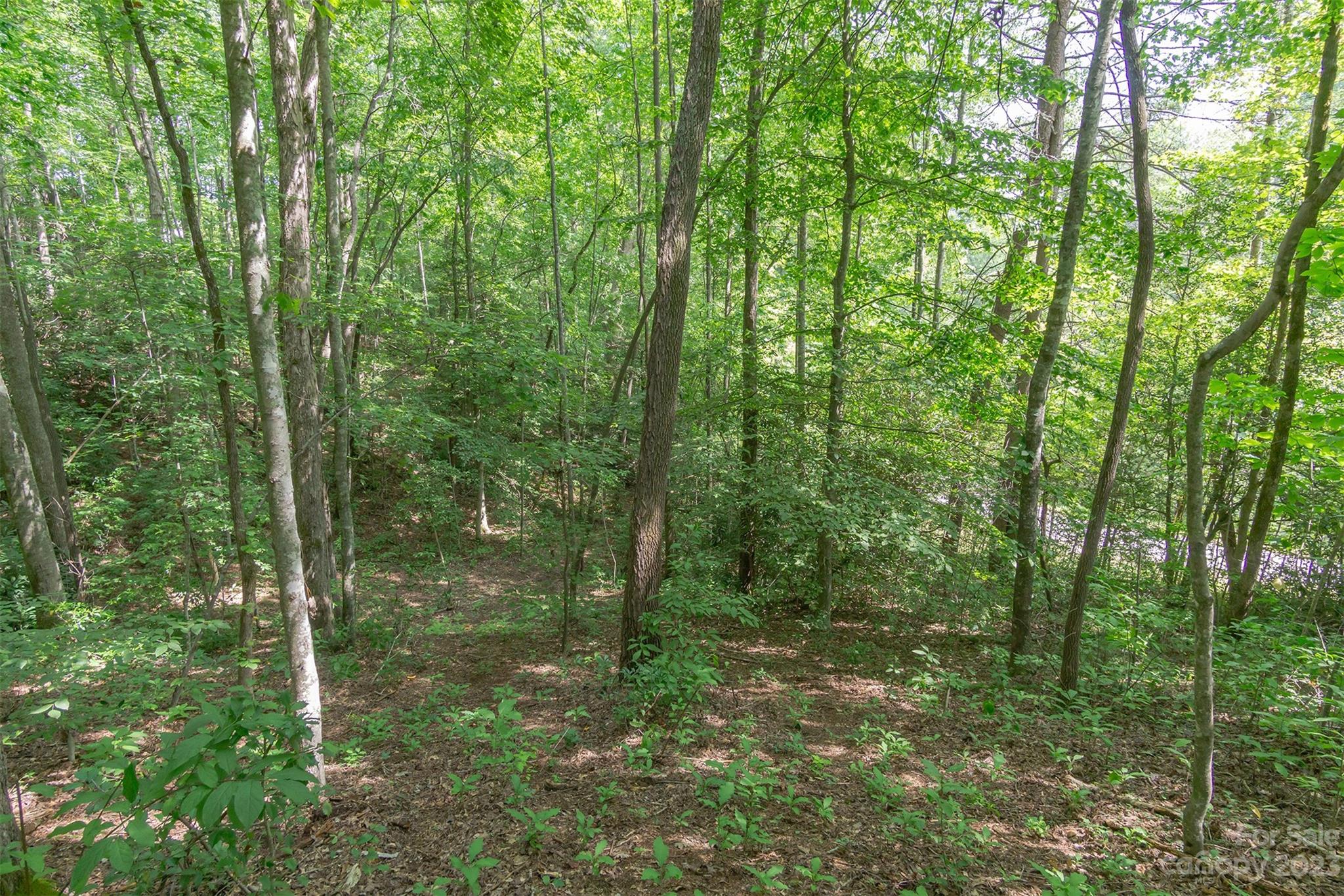 99999 Spring Lake Trail 5 & 7 Property Photo 11