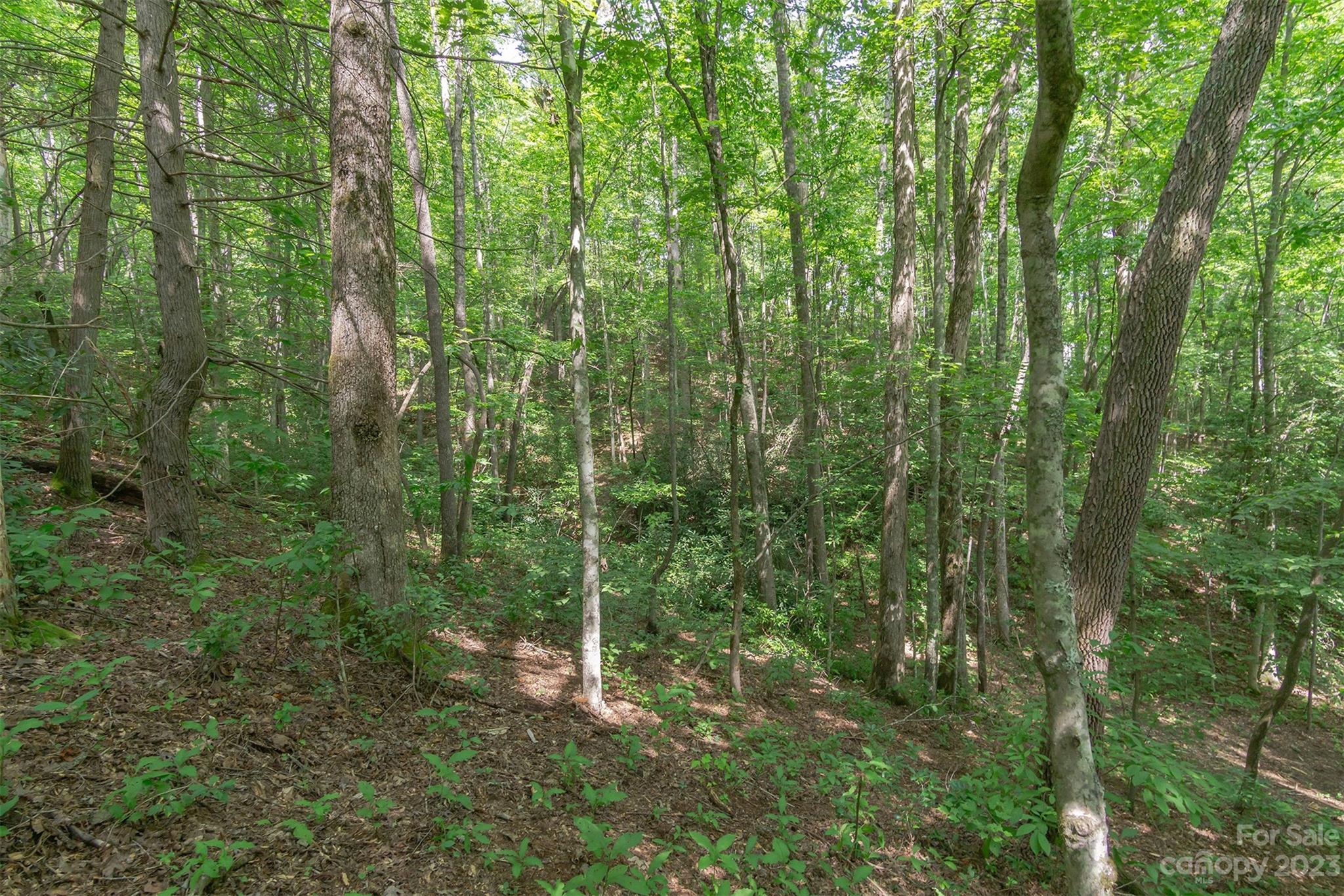99999 Spring Lake Trail 5 & 7 Property Photo 12