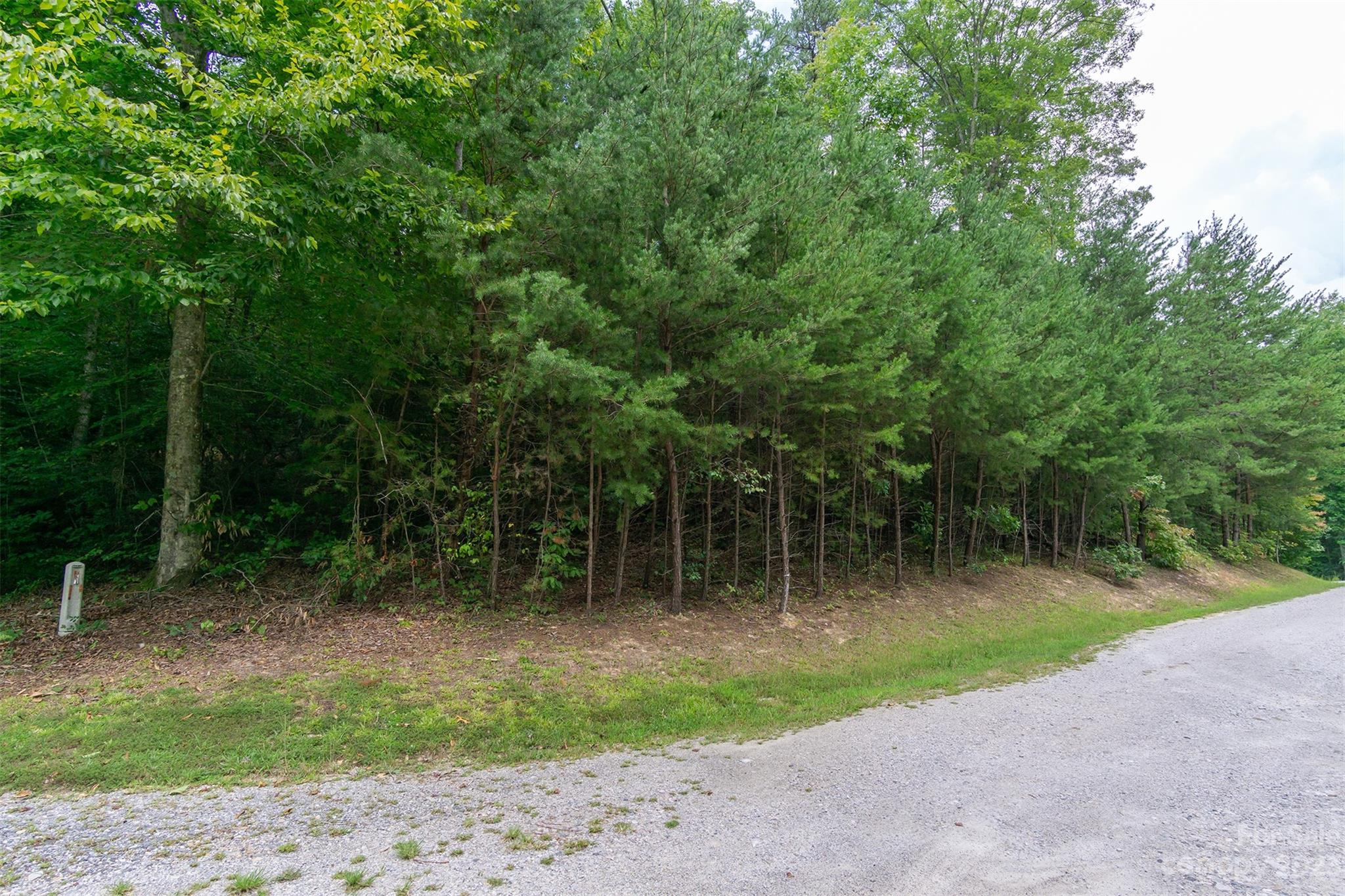 99999 Spring Lake Trail 5 & 7 Property Photo 15