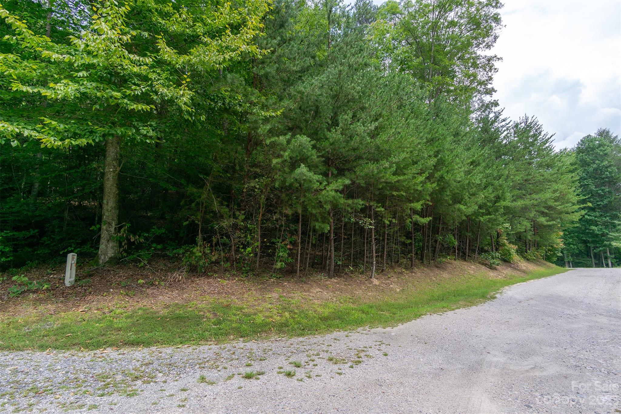 99999 Spring Lake Trail 5 & 7 Property Photo 16