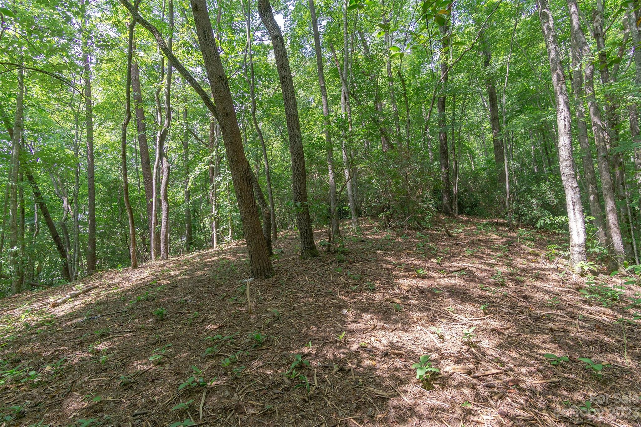 99999 Spring Lake Trail 5 & 7 Property Photo 20