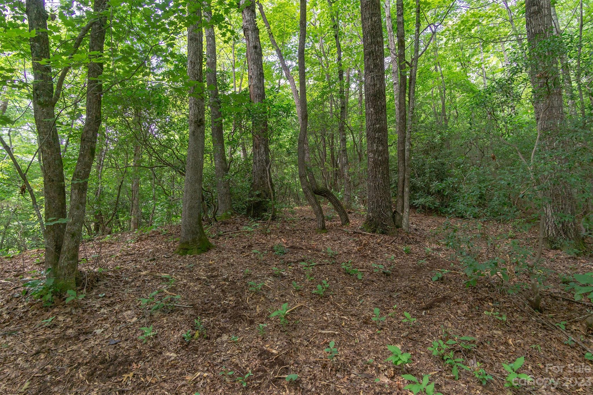 99999 Spring Lake Trail 5 & 7 Property Photo 21