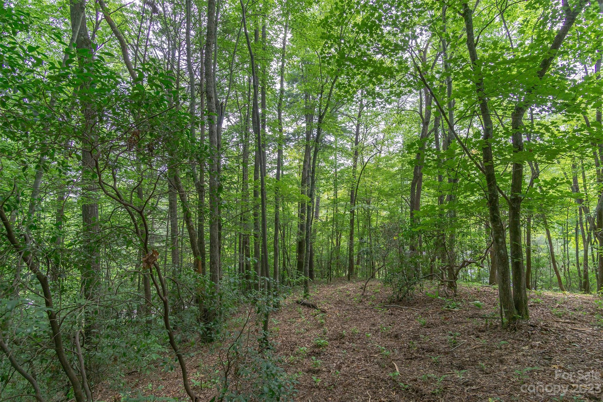 99999 Spring Lake Trail 5 & 7 Property Photo 22
