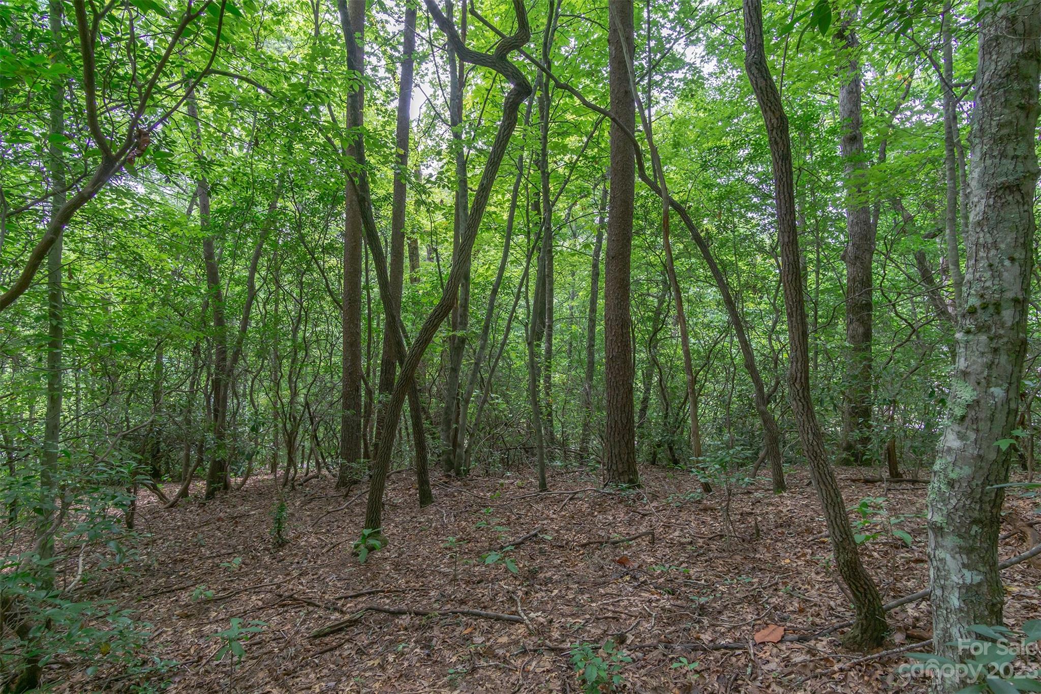 99999 Spring Lake Trail 5 & 7 Property Photo 23