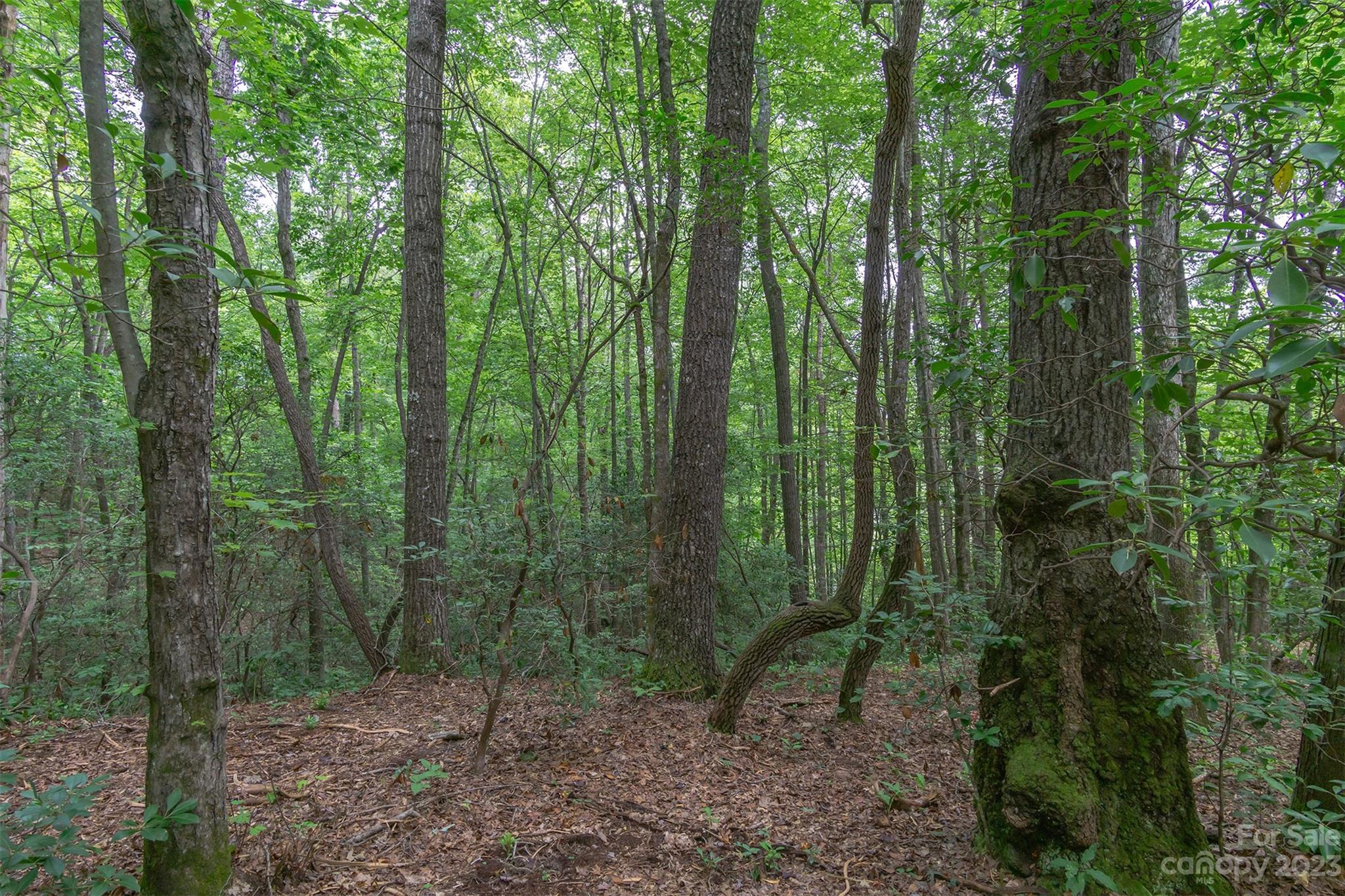 99999 Spring Lake Trail 5 & 7 Property Photo 24