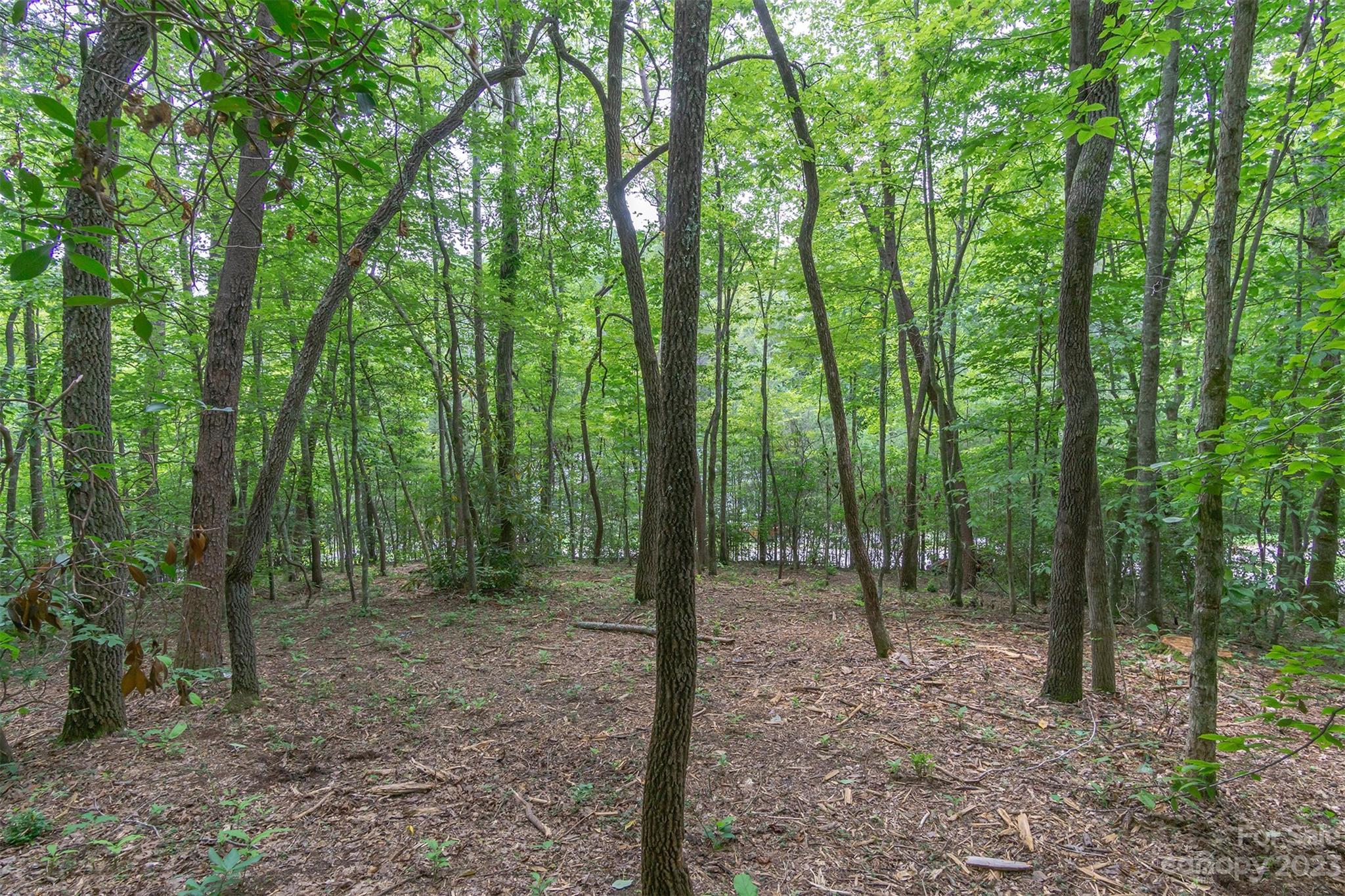 99999 Spring Lake Trail 5 & 7 Property Photo 26