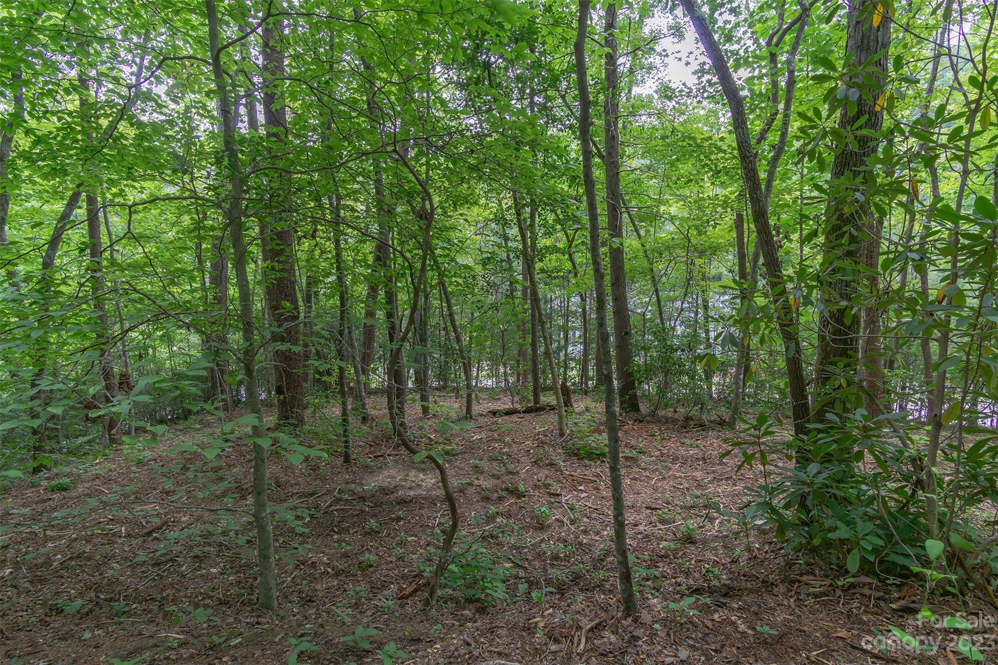 99999 Spring Lake Trail 5 & 7 Property Photo 27