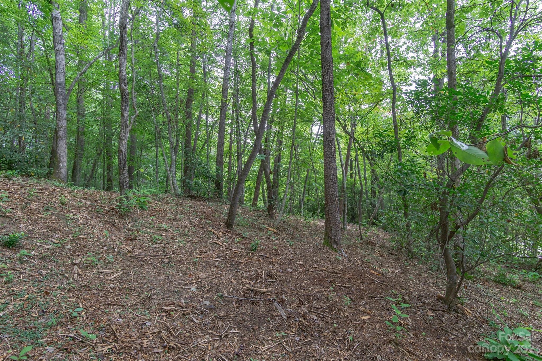 99999 Spring Lake Trail 5 & 7 Property Photo 28