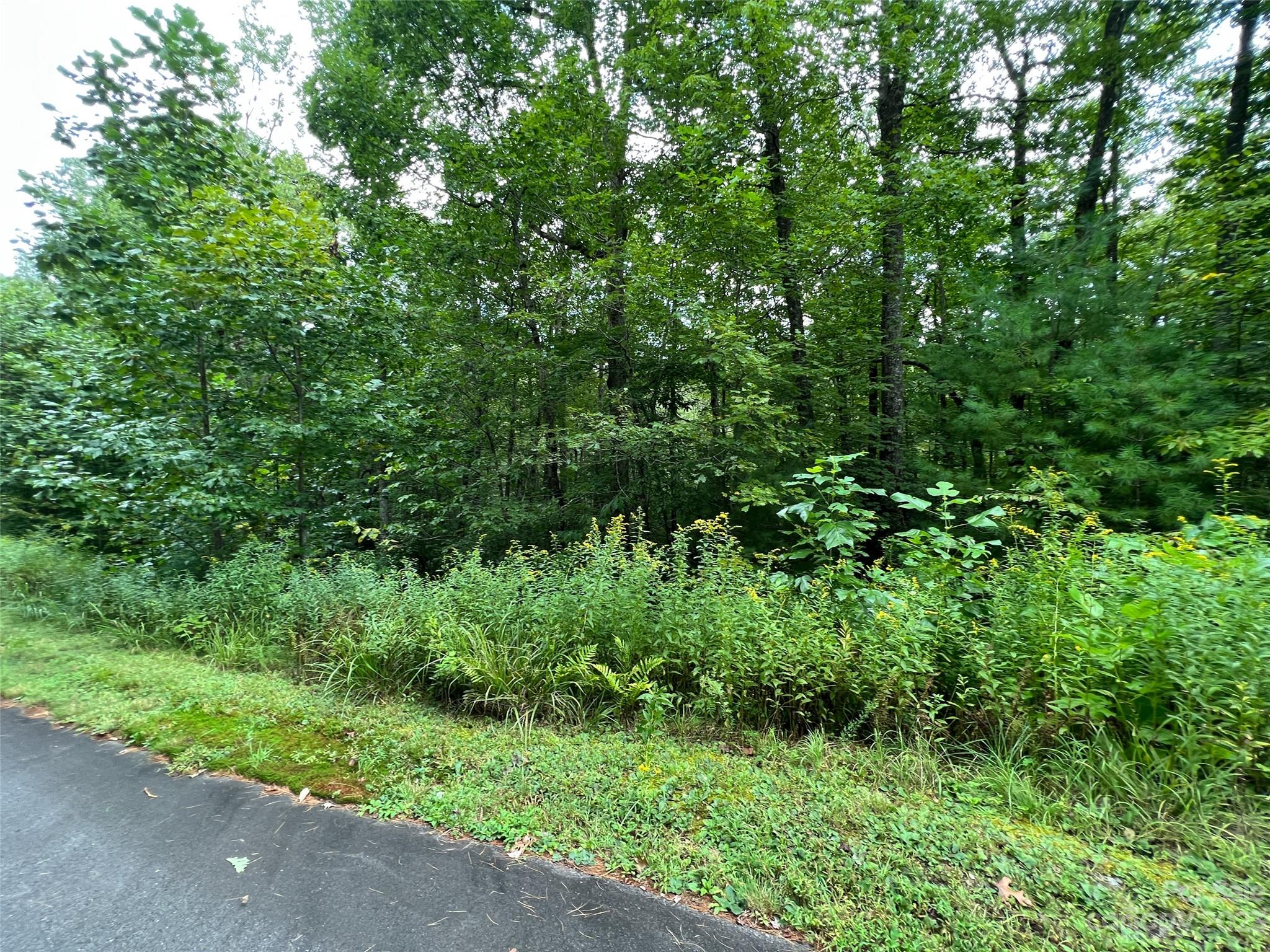 103 Laurel Thicket Lane Property Photo 1