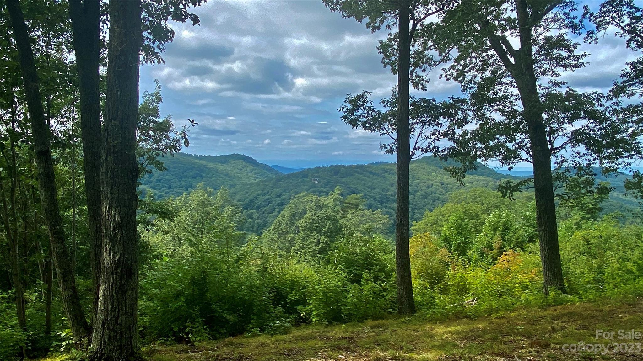0 Adirondack Lane Property Photo 3