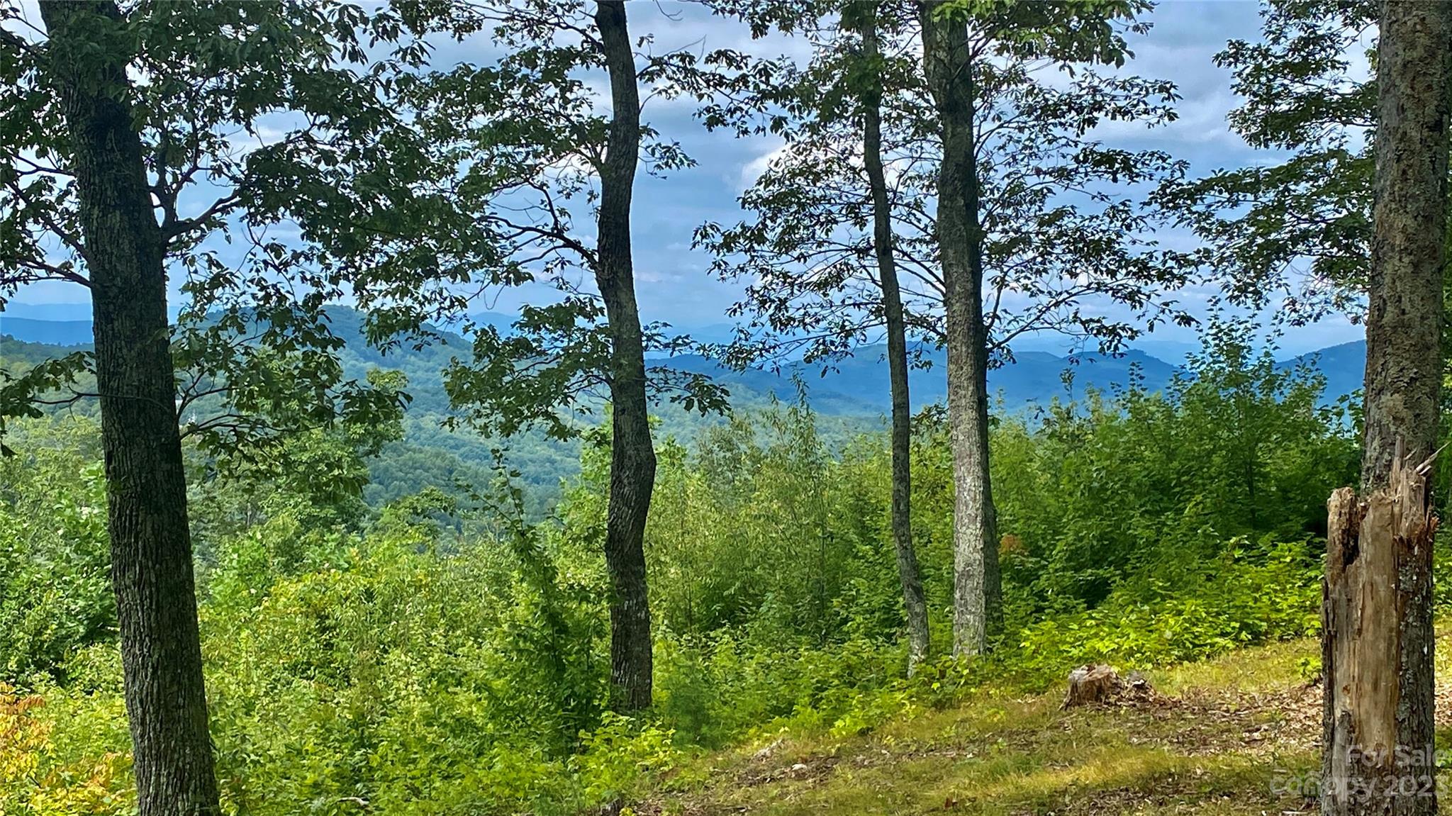0 Adirondack Lane Property Photo 4