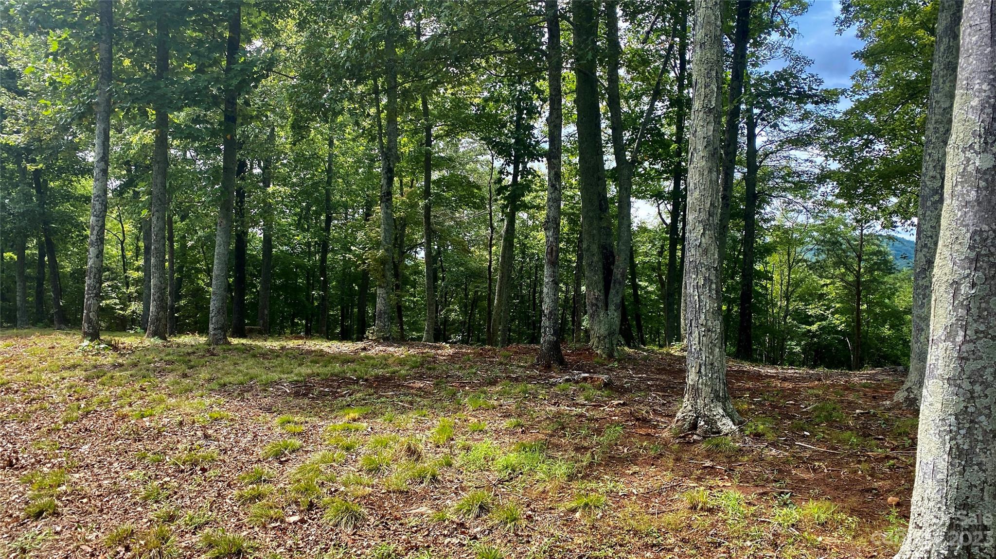 0 Adirondack Lane Property Photo 7