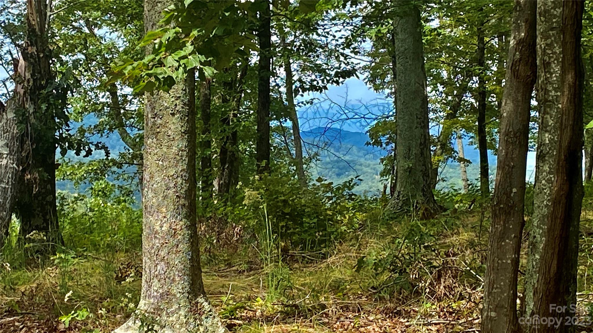 0 Adirondack Lane Property Photo 8