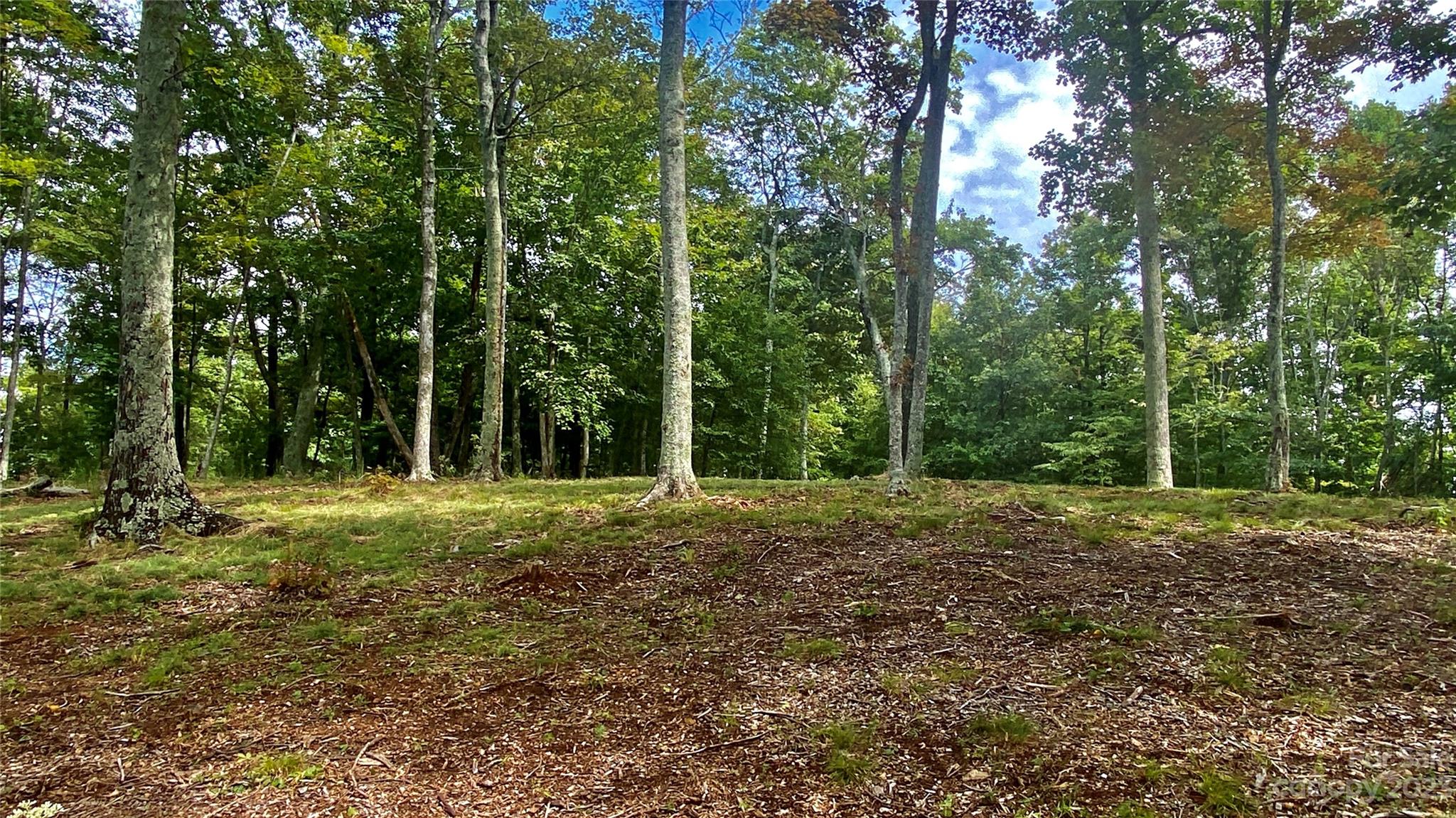 0 Adirondack Lane Property Photo 9