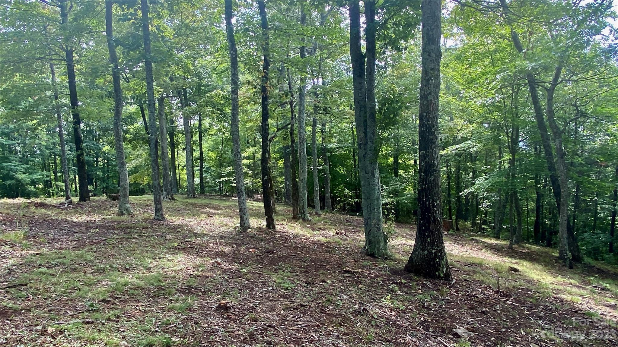 0 Adirondack Lane Property Photo 10