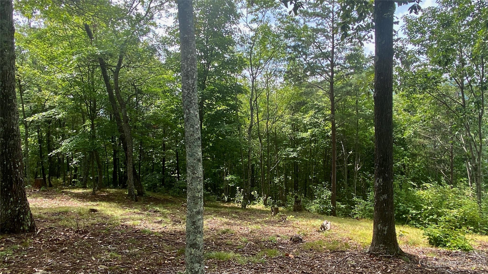 0 Adirondack Lane Property Photo 11