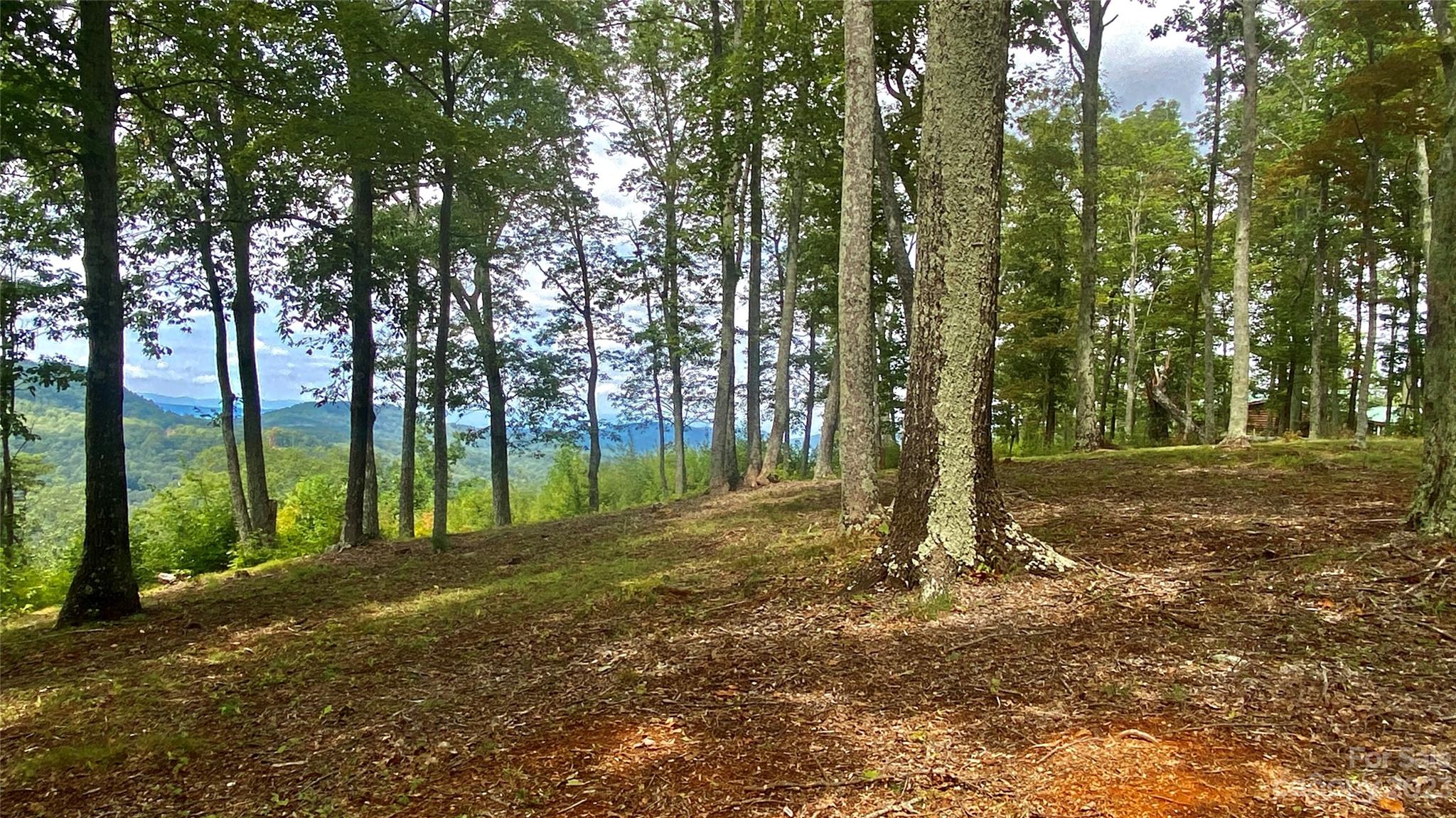0 Adirondack Lane Property Photo 12