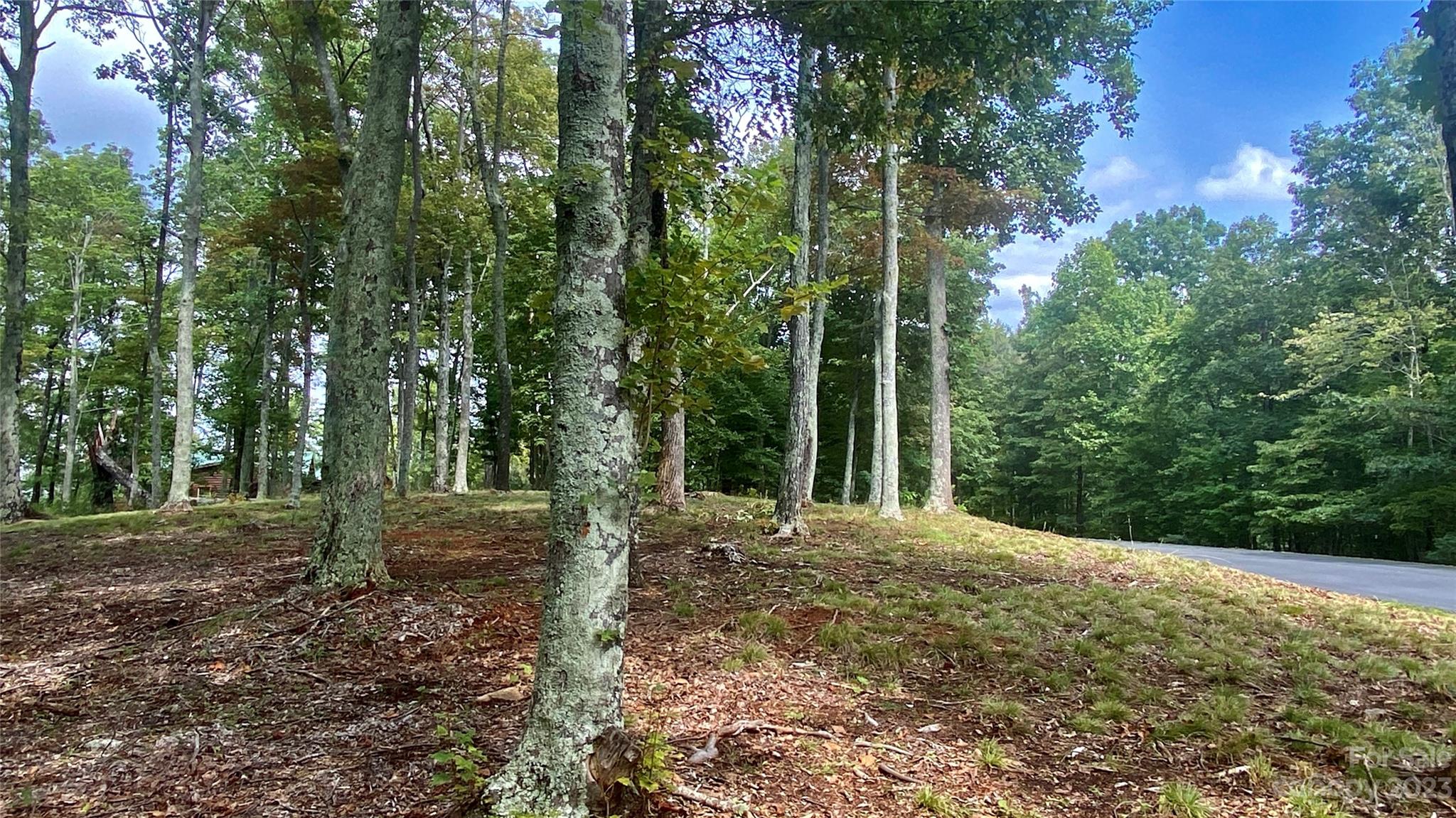 0 Adirondack Lane Property Photo 13