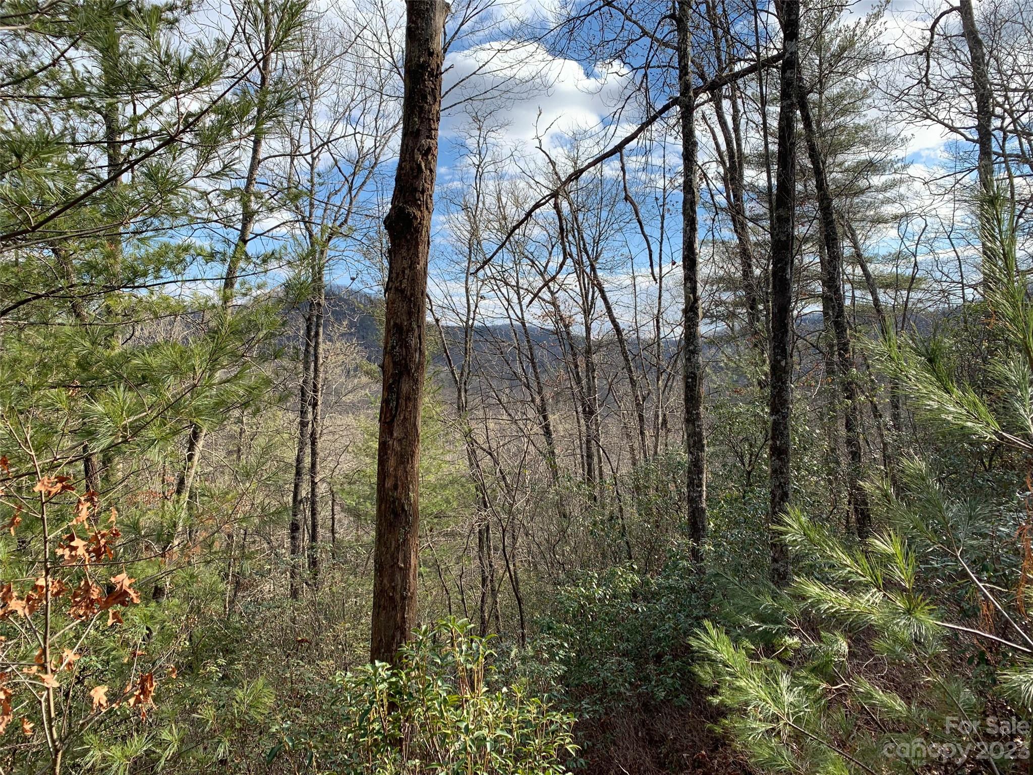 91 Laurel Thicket Lane Property Photo 1